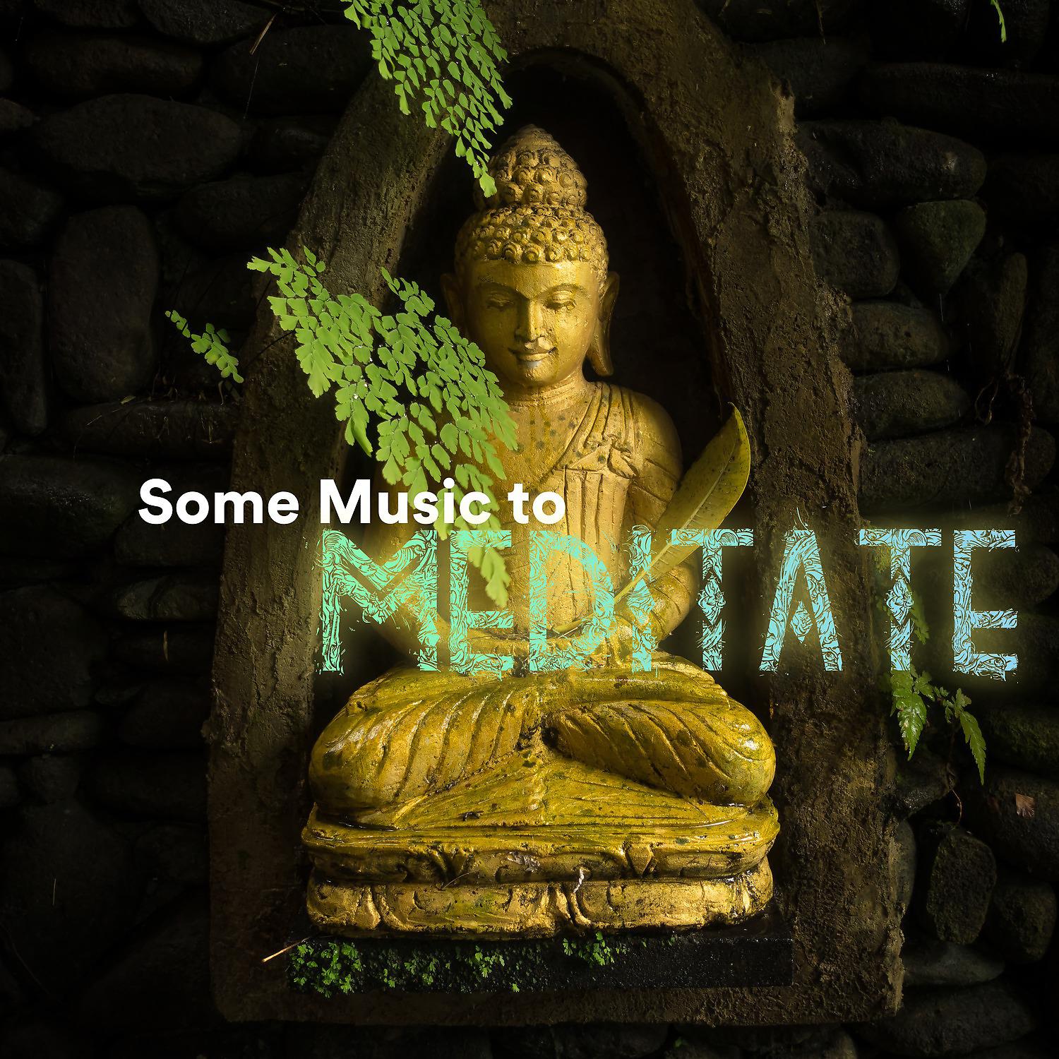 Постер альбома Some Music to Meditate