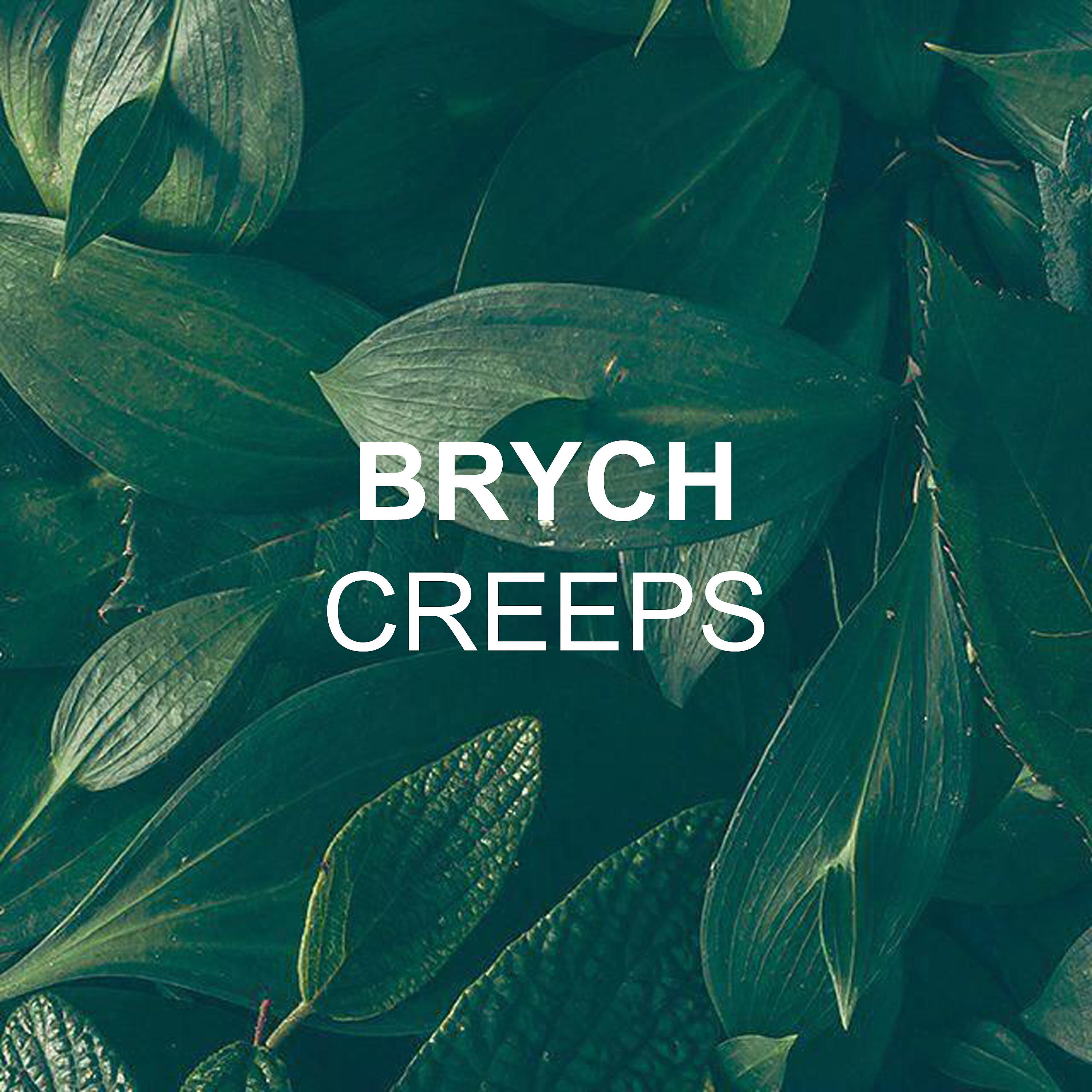Brych - Speechless