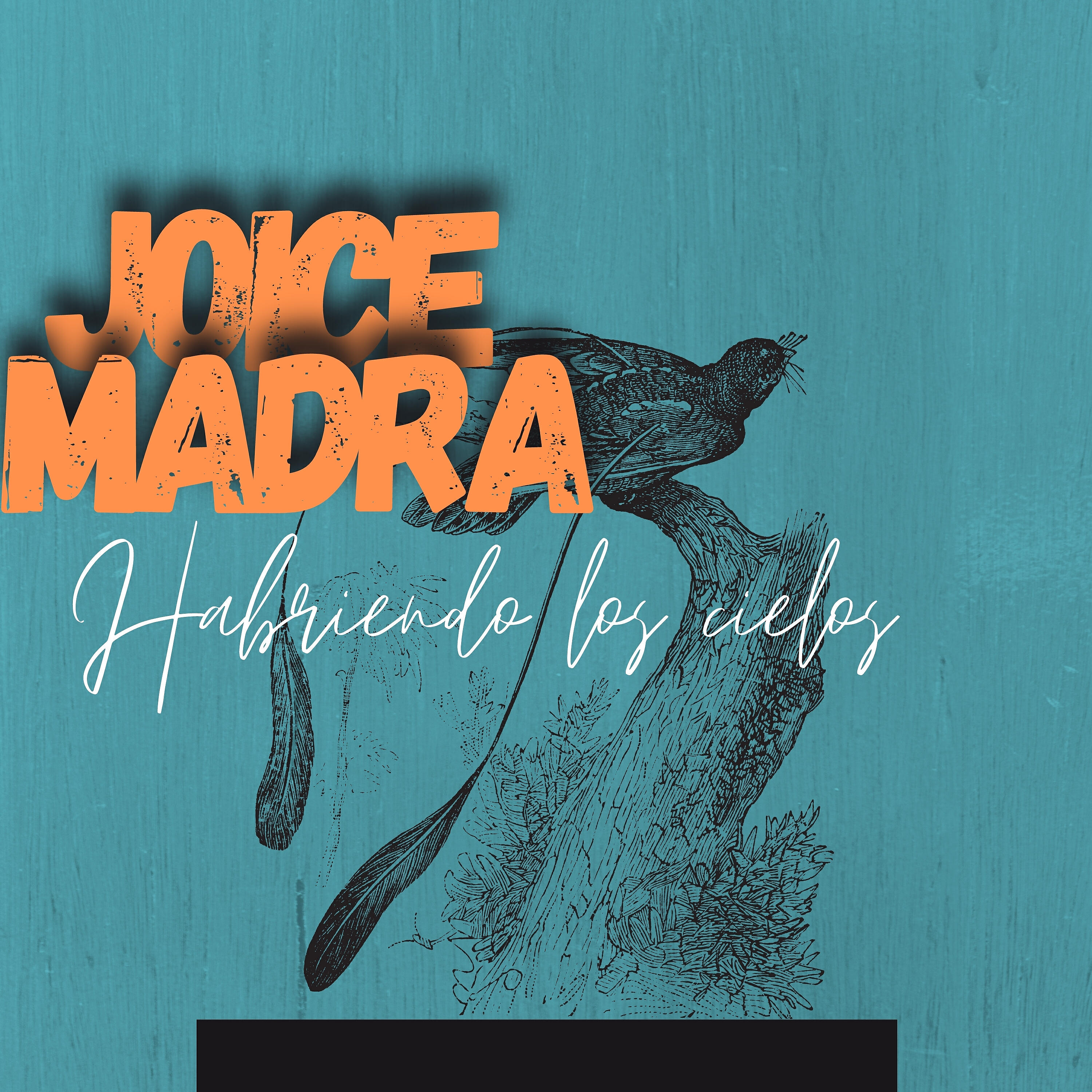 joice madra - Gran Secreto