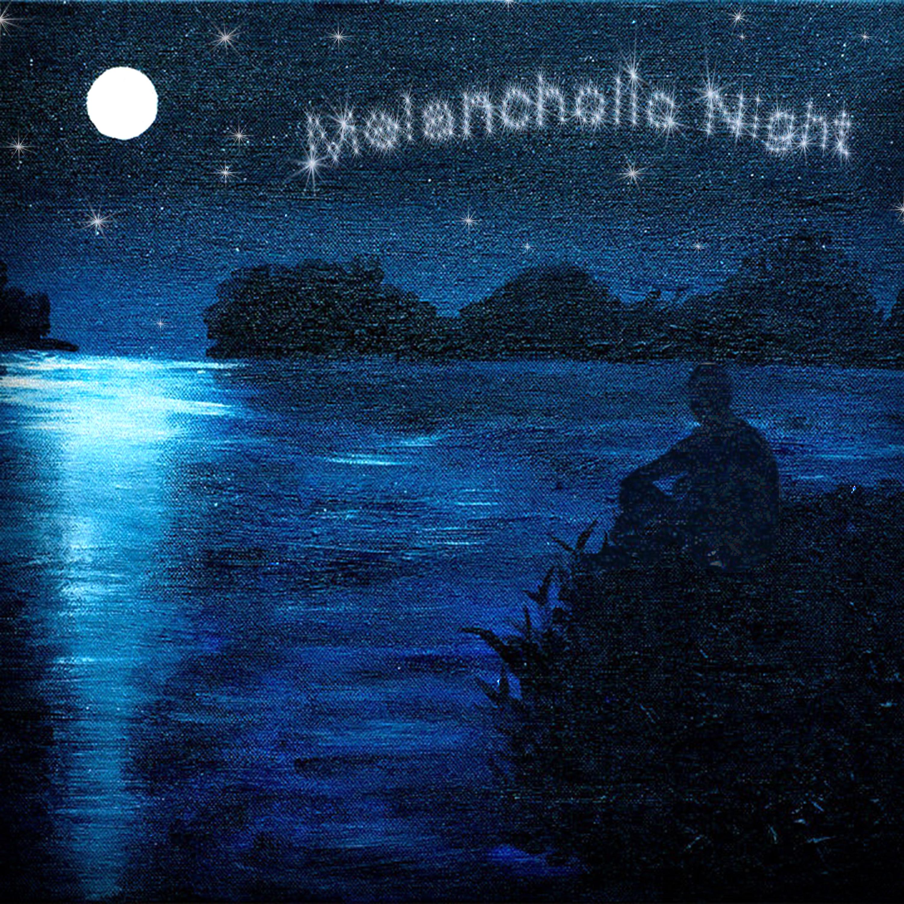 Постер альбома Melancholic Night