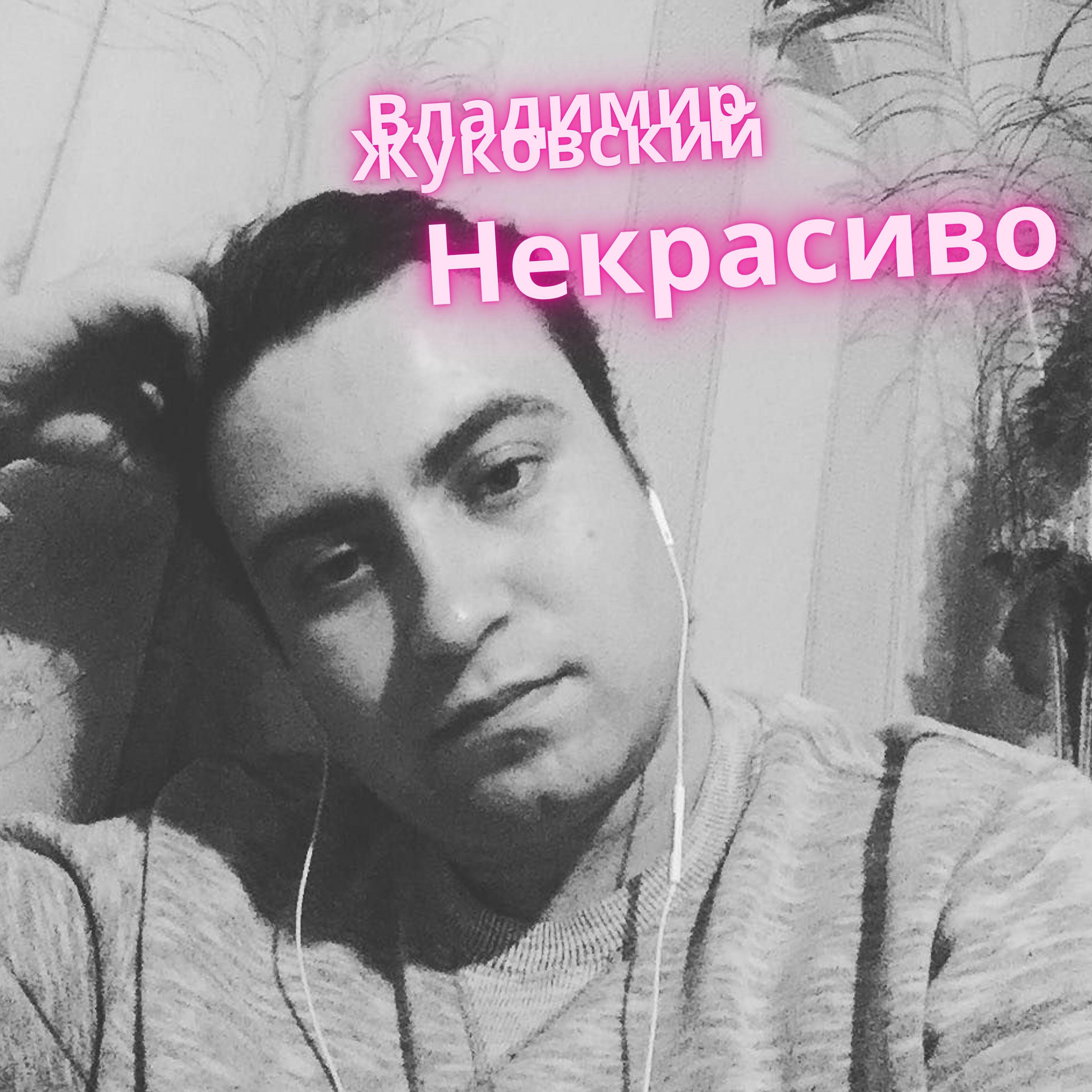 Владимир Жуковский - Некрасиво