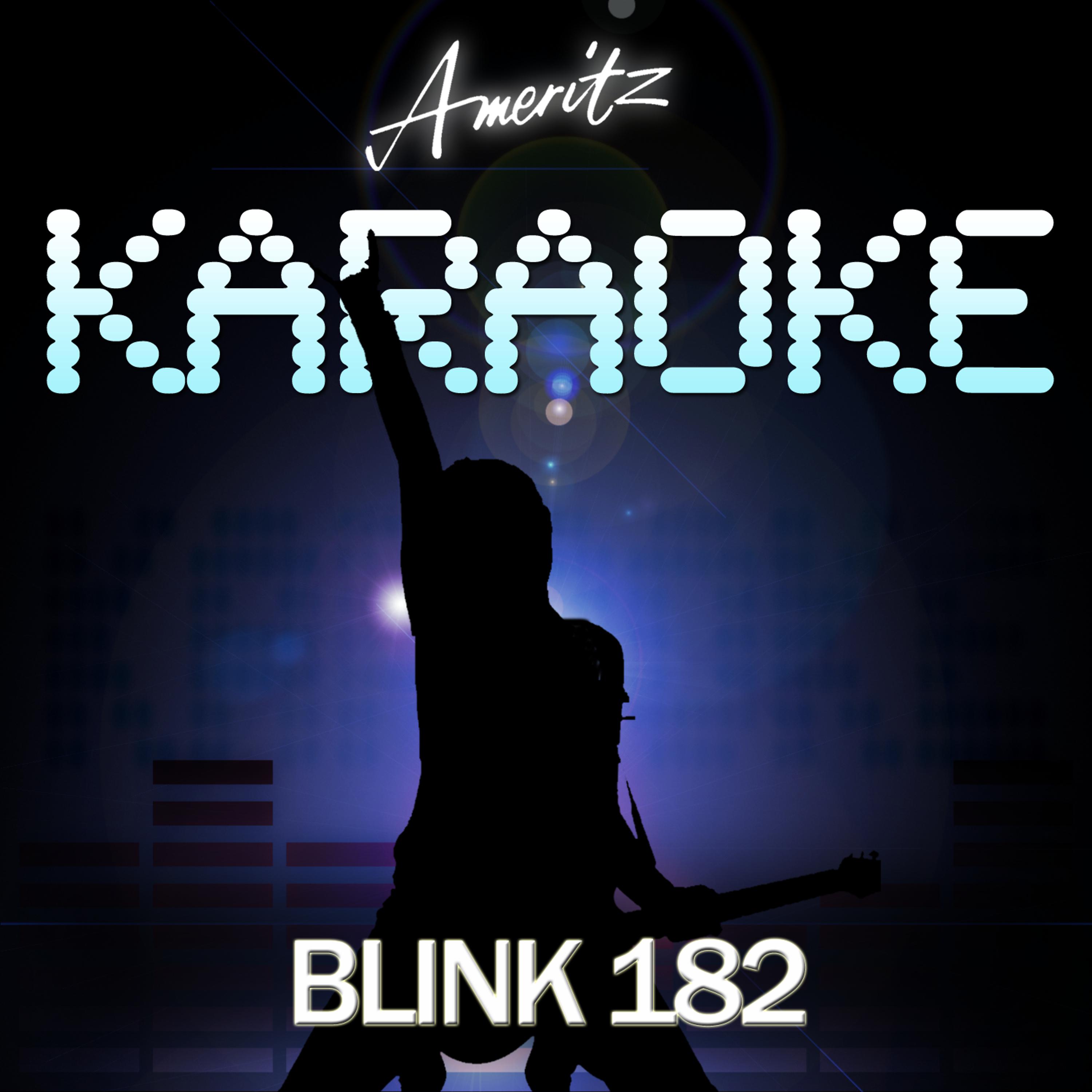 Постер альбома Karaoke - Blink 182