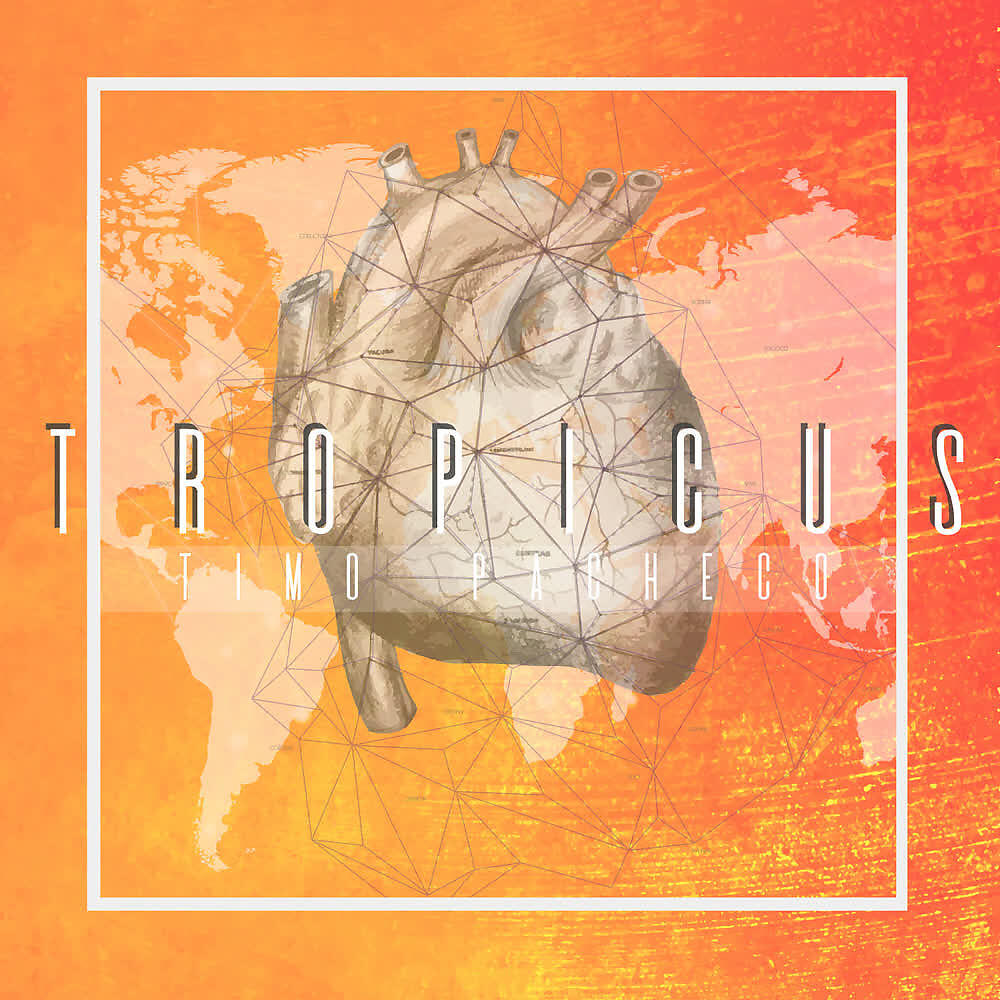 Timo Pacheco - Sinónimos