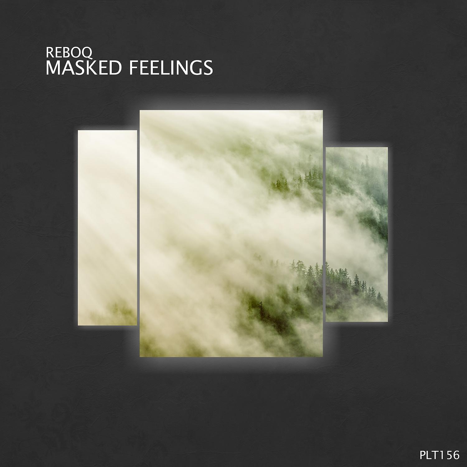 Постер альбома Masked Feelings