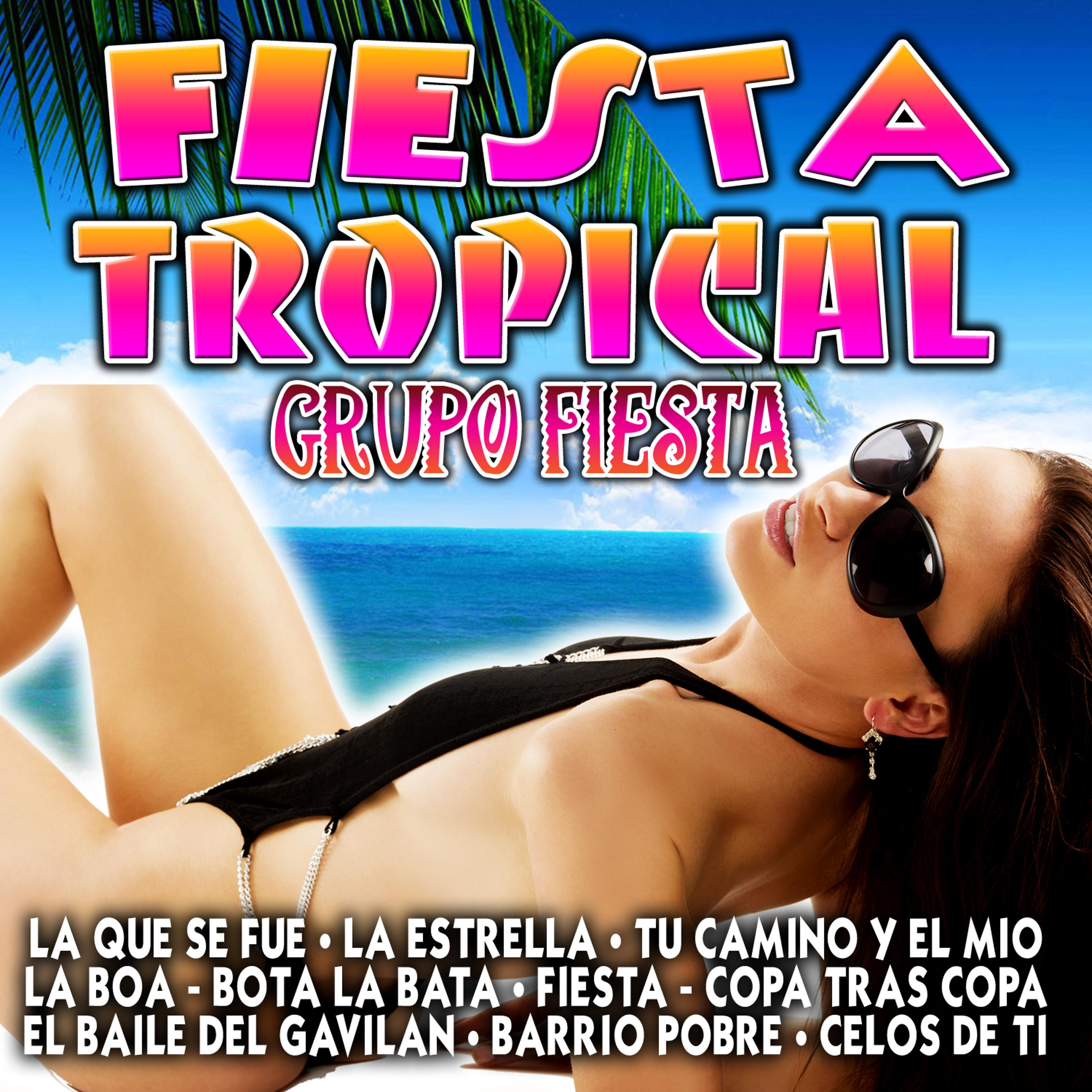 Постер альбома Fiesta Tropical