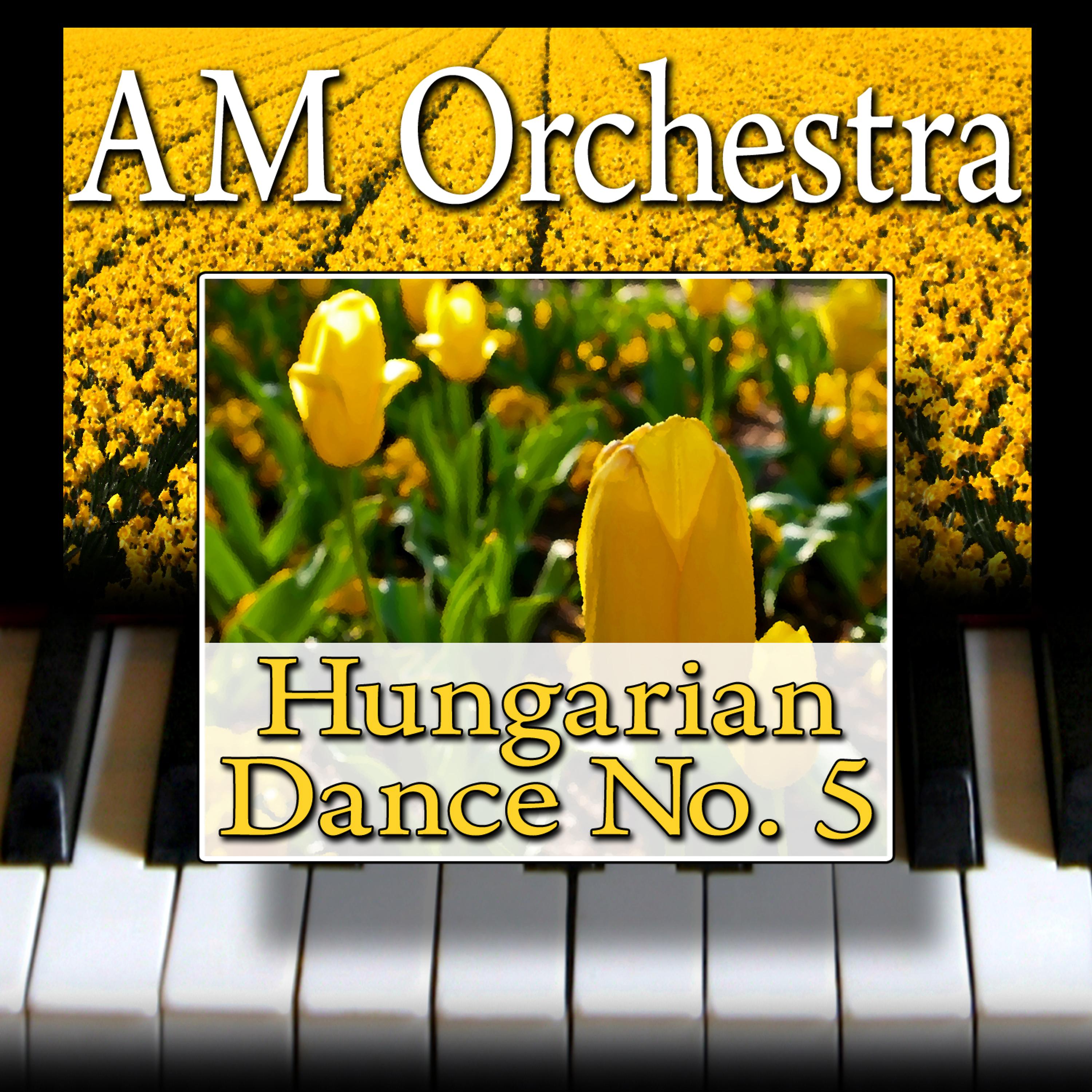 Постер альбома Hungarian Dance No. 5
