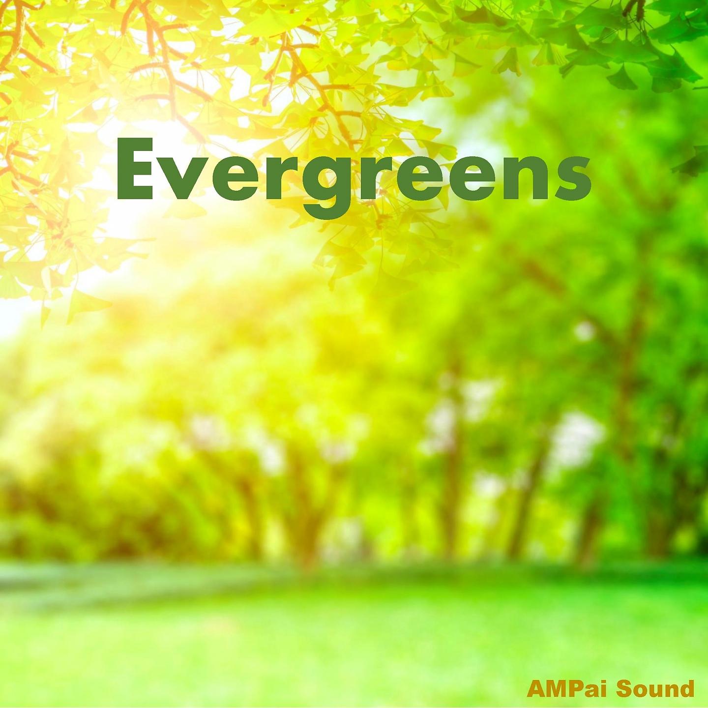 Постер альбома Evergreens