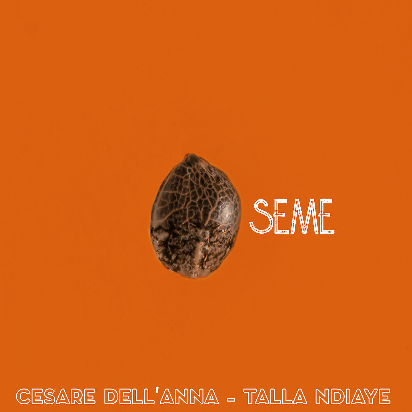 CESARE DELL'ANNA - Sibala
