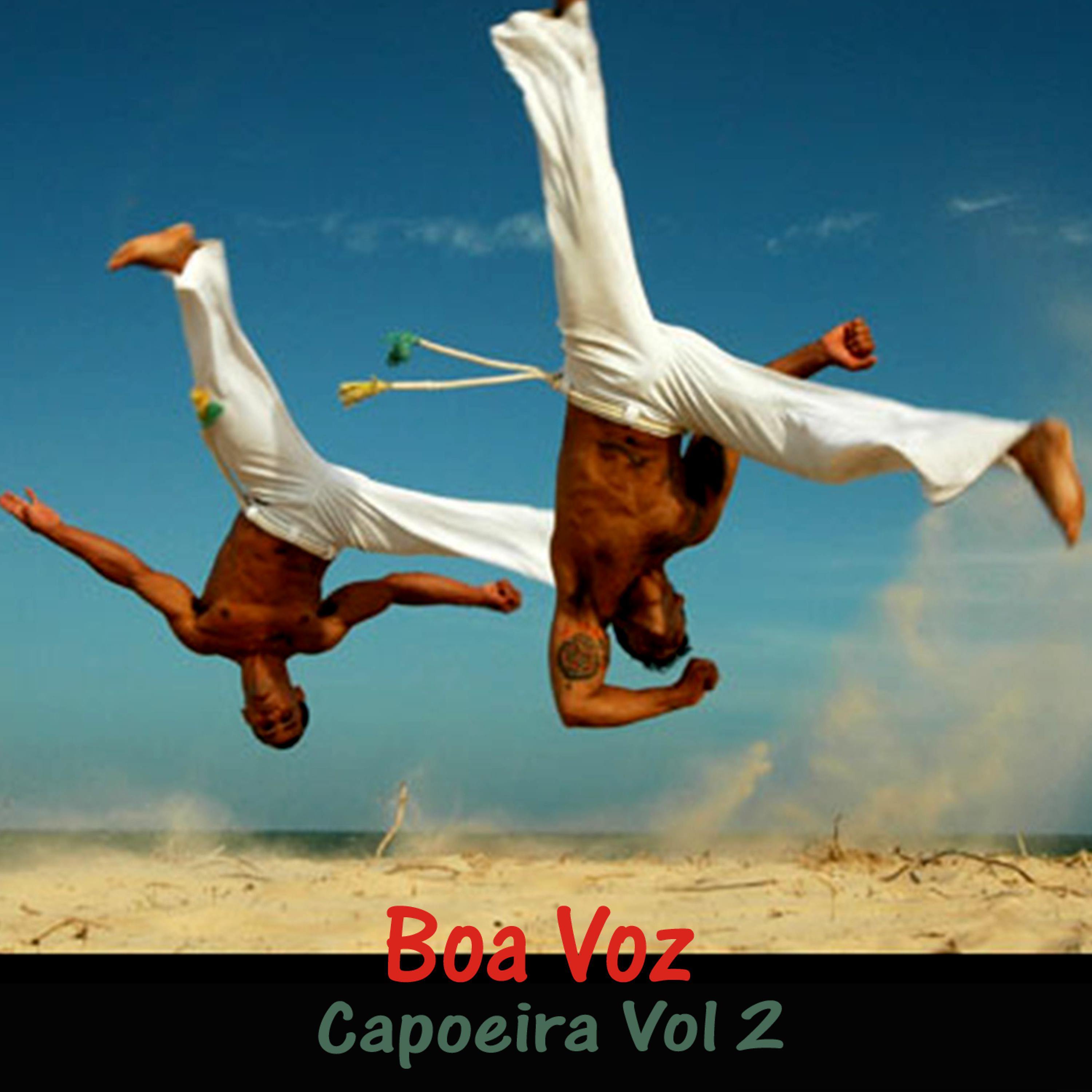Постер альбома Capoeira Vol 2