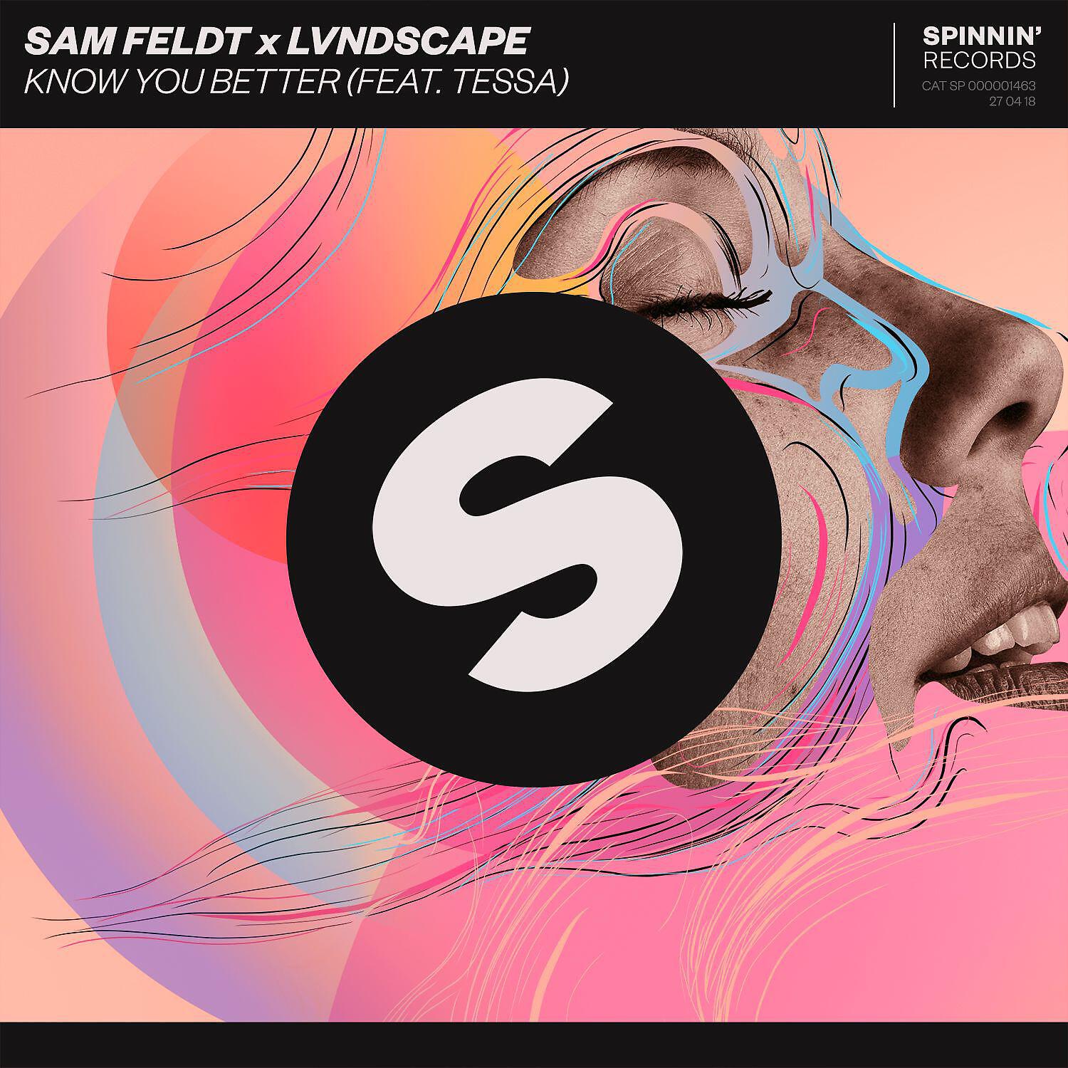 Sam Feldt - Know You Better (feat. Tessa Odden)