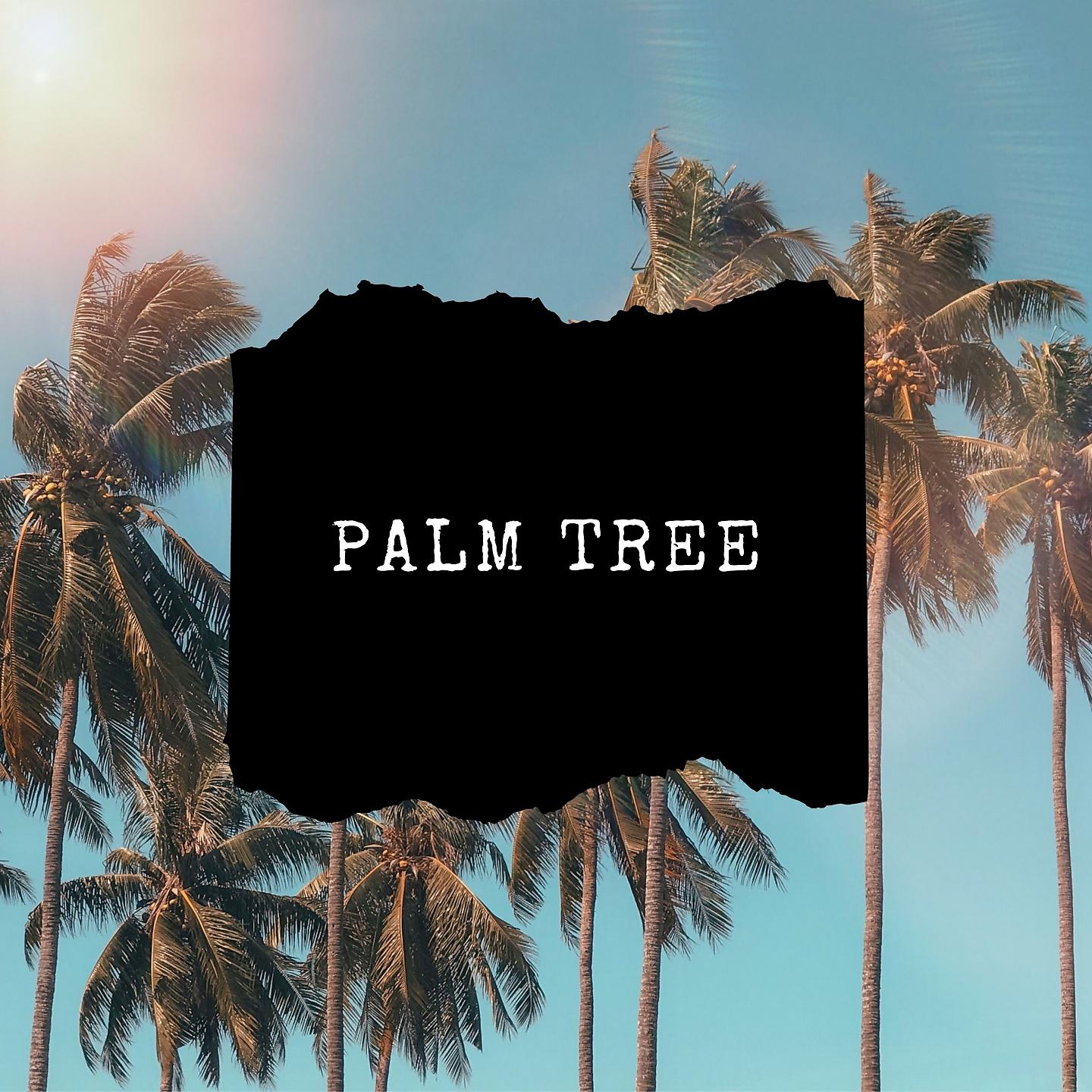 Постер альбома Palm Tree