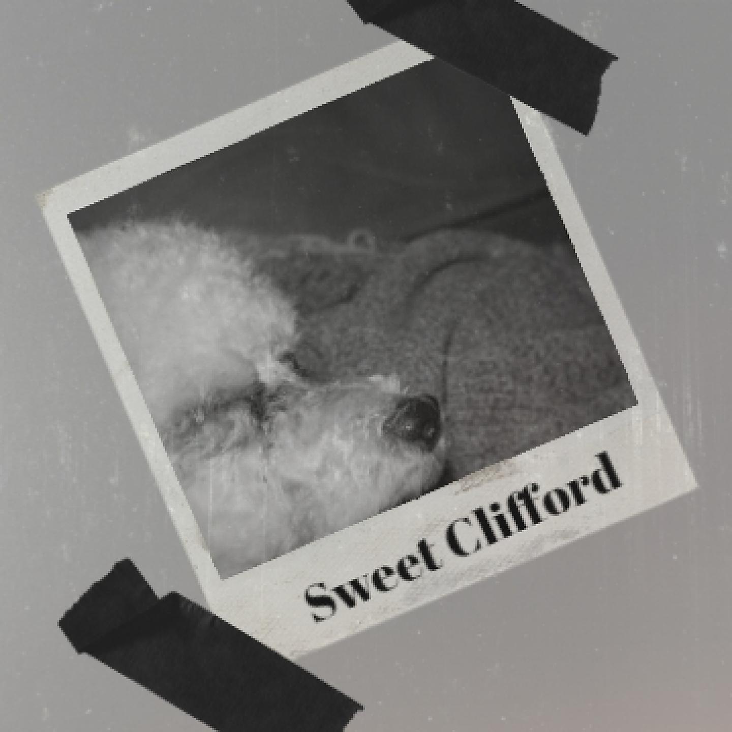 MGM Studio Orchestra - Dis-Donc, Dis-Donc