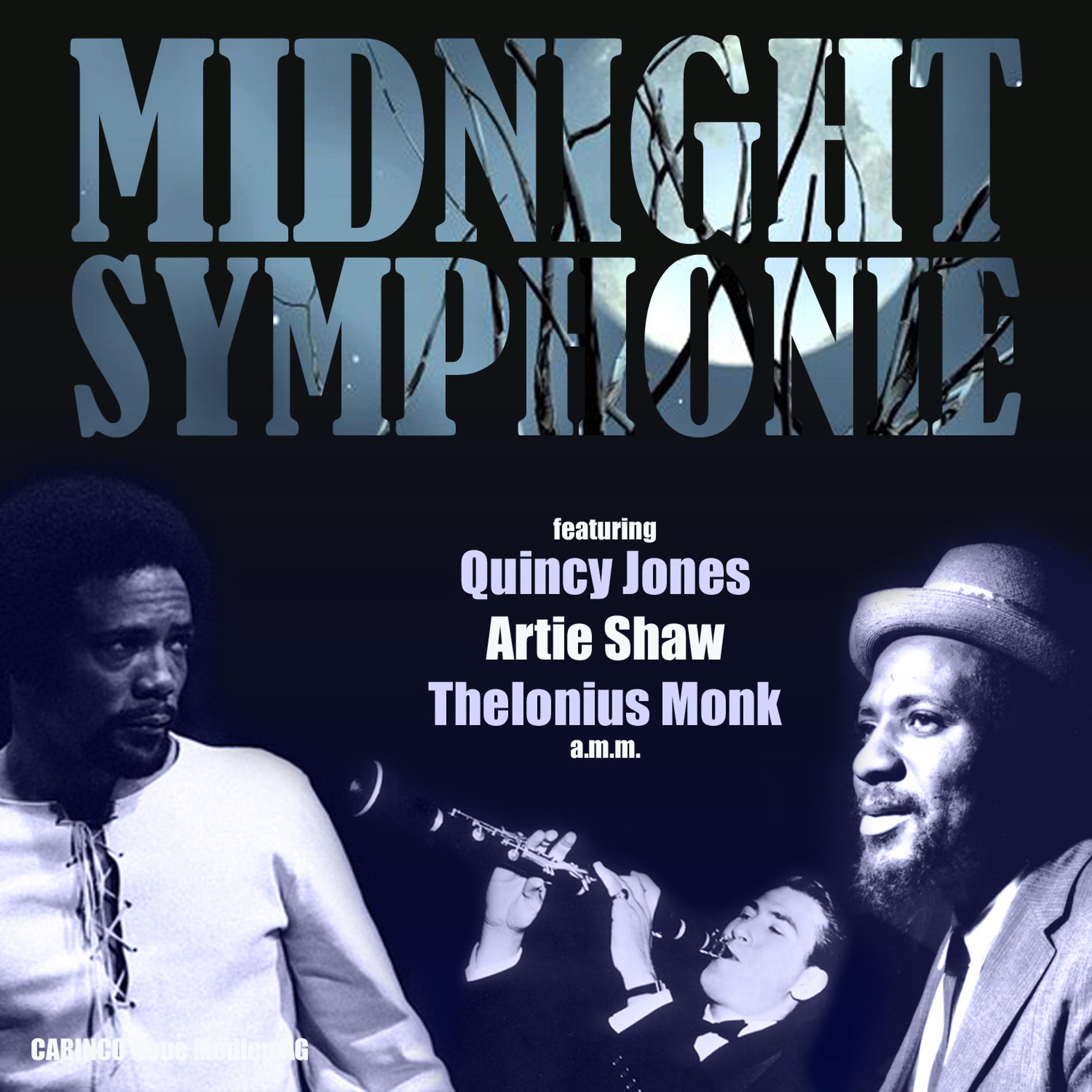 Постер альбома Midnight Symphony