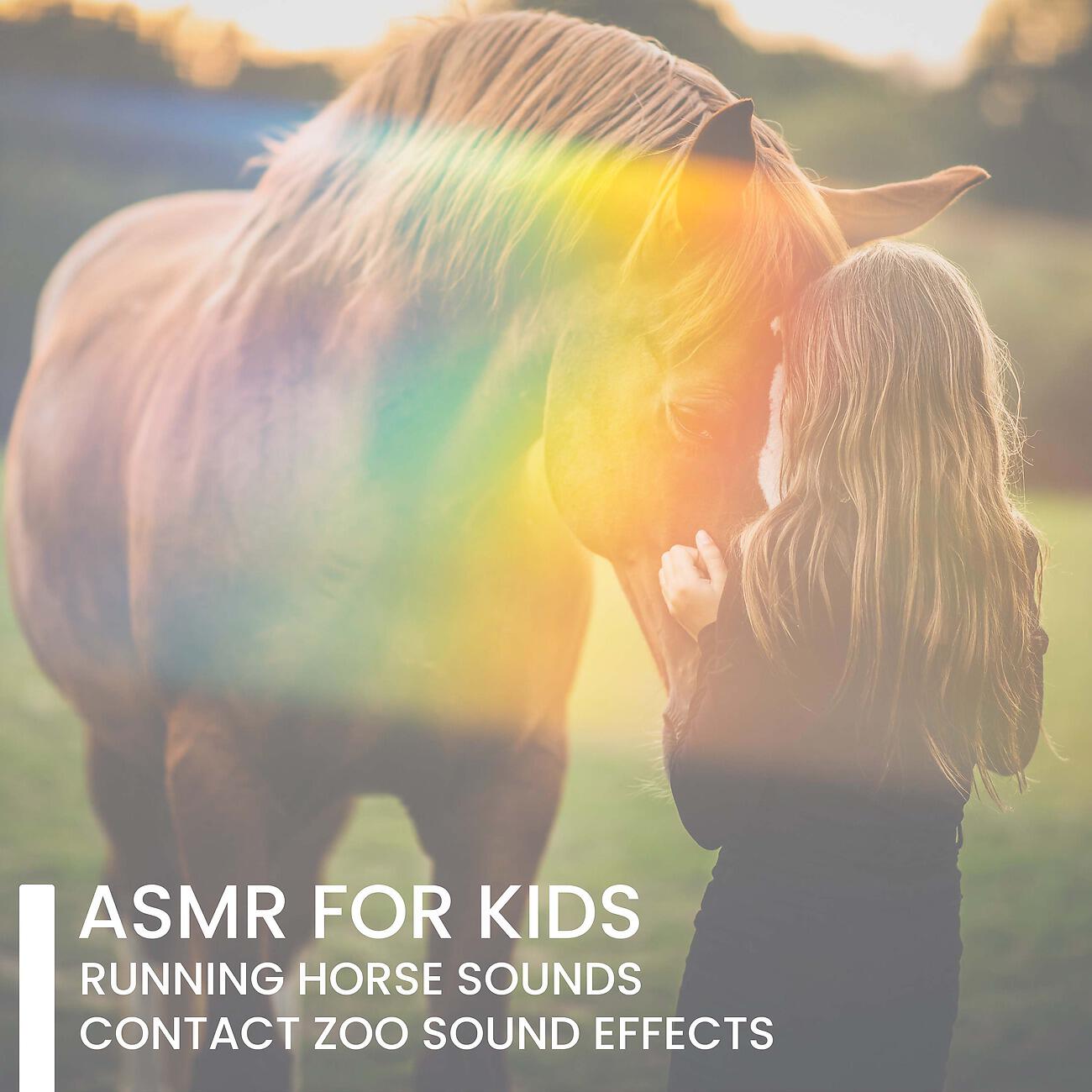 Calm Music Zone - ASMR for Kids – Running Horse Sounds
