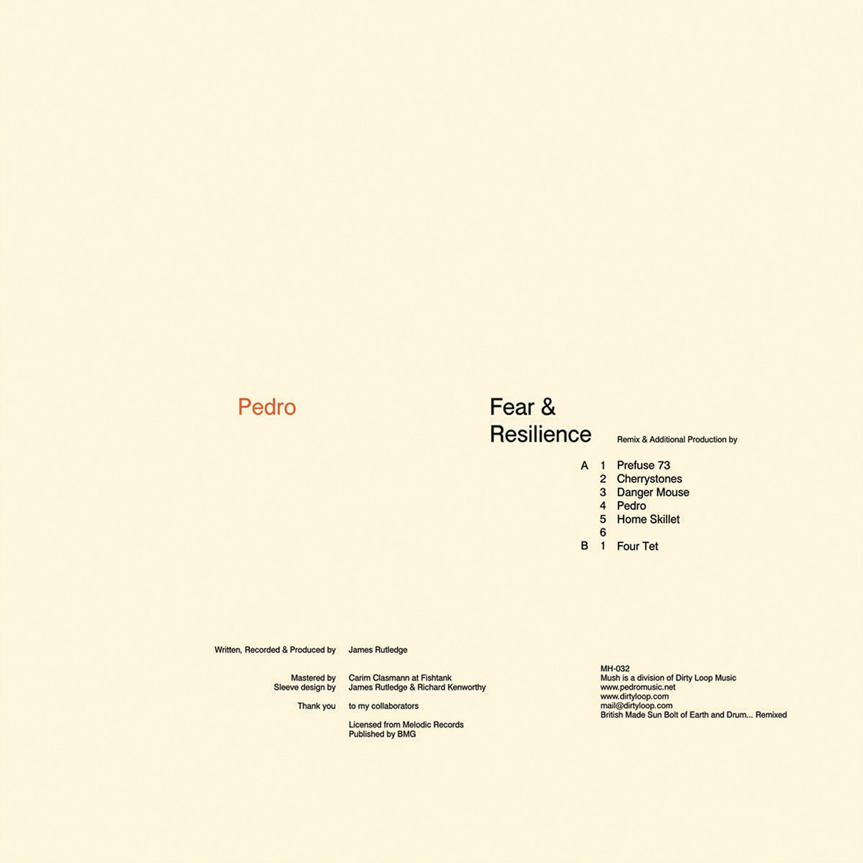 The Pedro - Fear & Resilience (Four Tet)