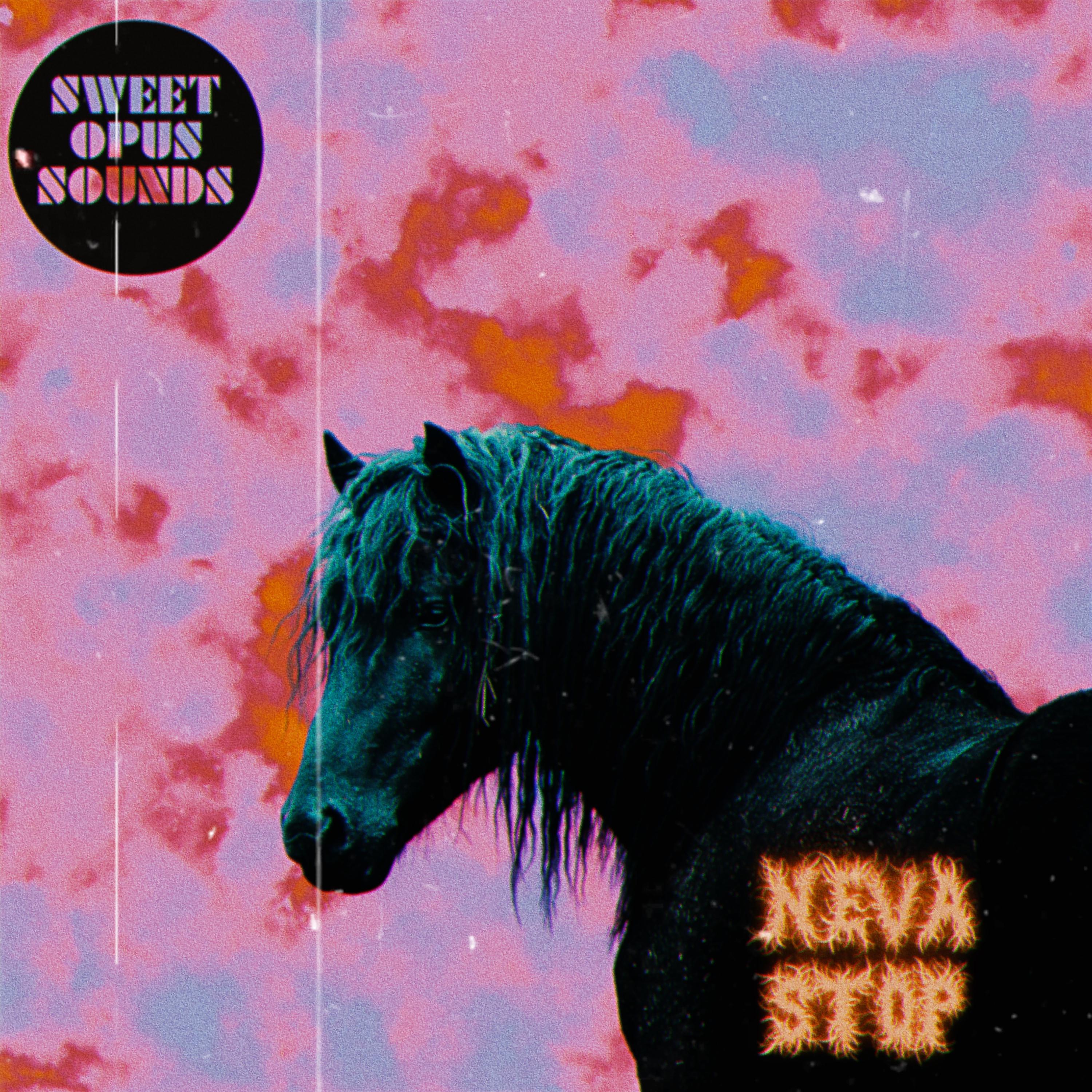 Постер альбома Neva Stop (feat. Joaquin Bynum)