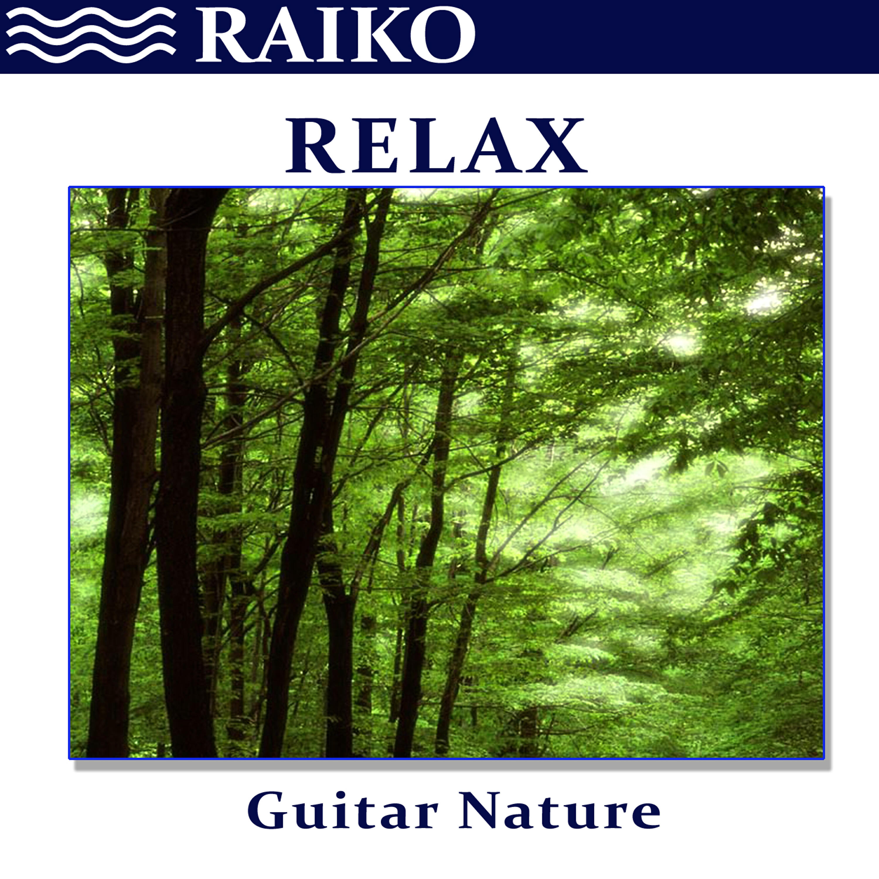 RAIKO - Guitar Nature