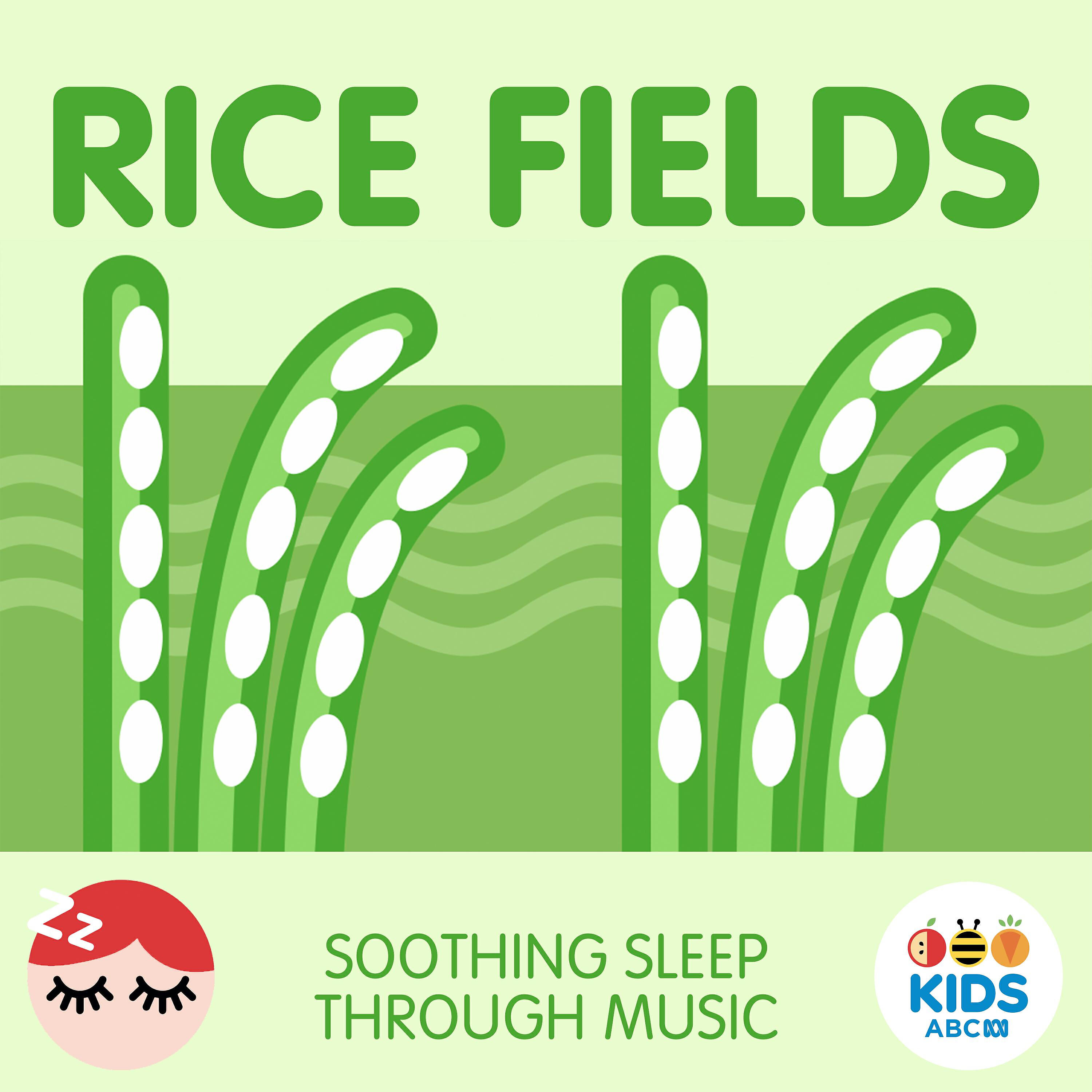 ABC Kids - Rice Fields 9