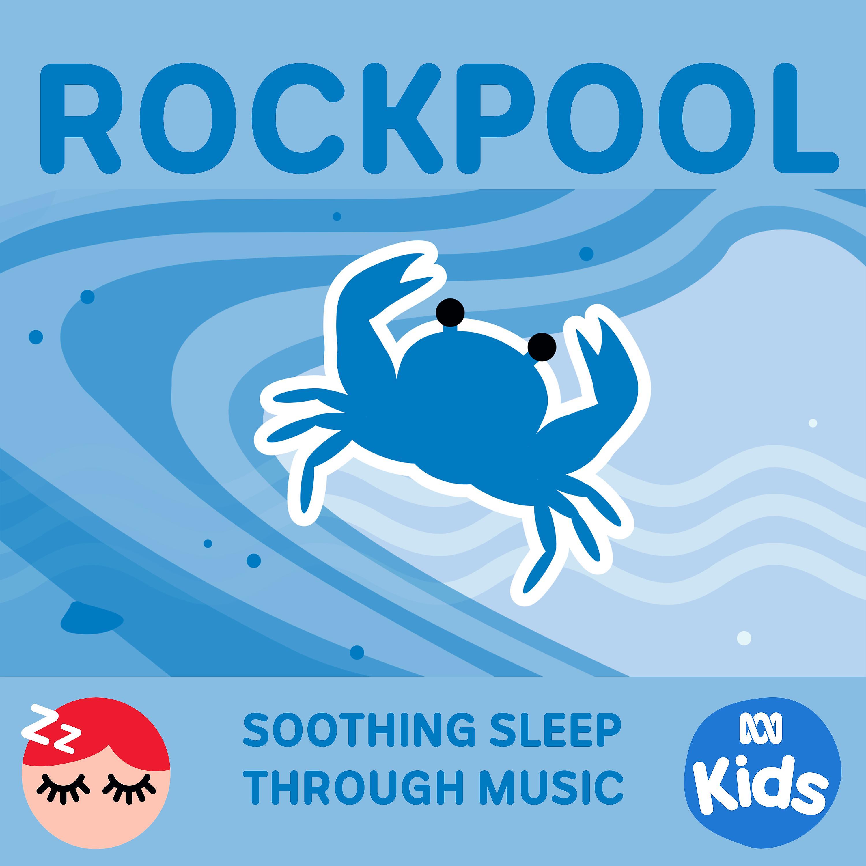 Постер альбома Rockpool - Soothing Sleep Through Music