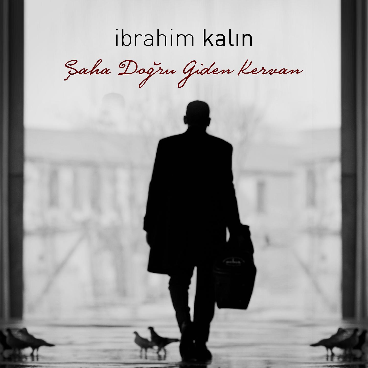 Постер альбома Şaha Doğru Giden Kervan