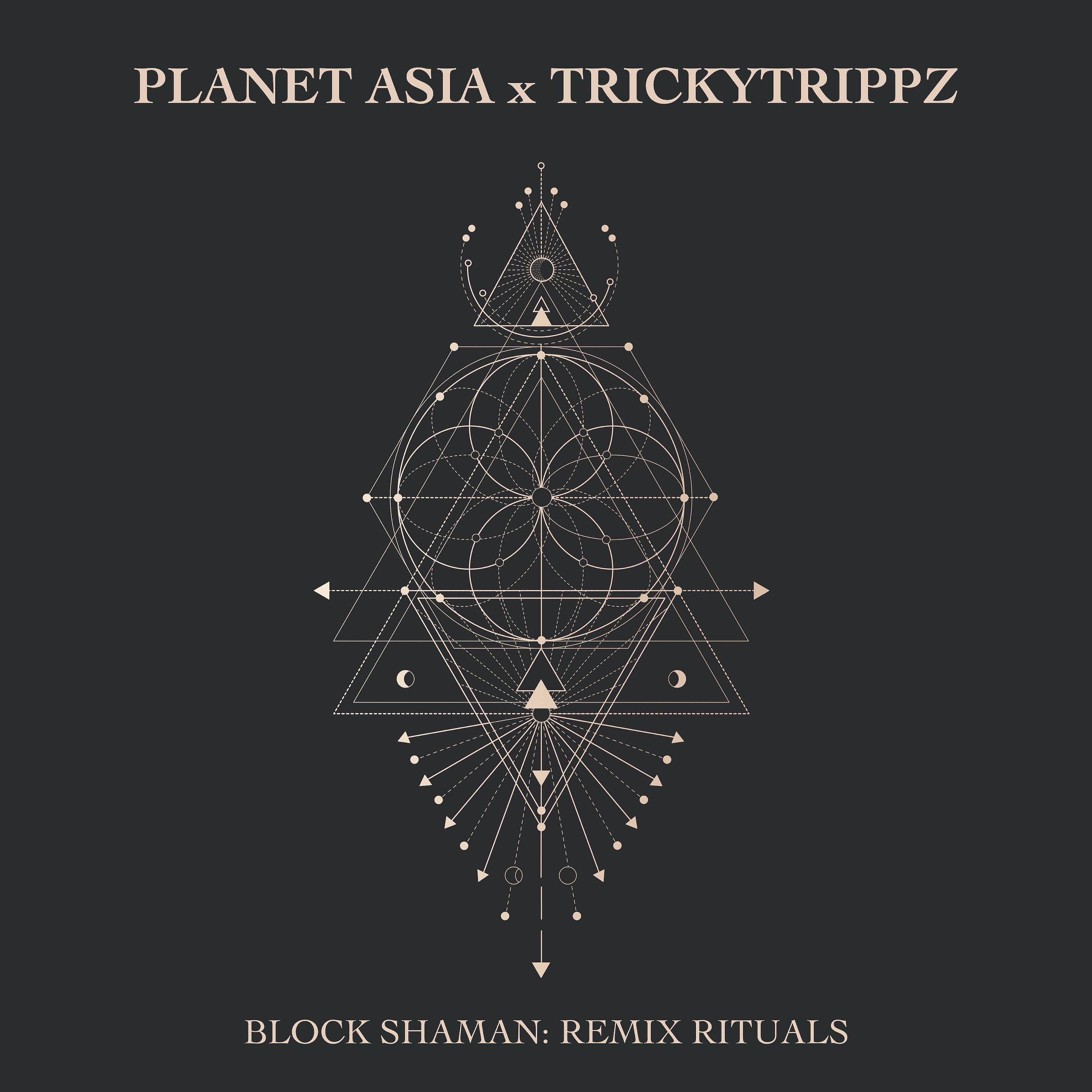 Постер альбома Block Shaman: Remix Rituals