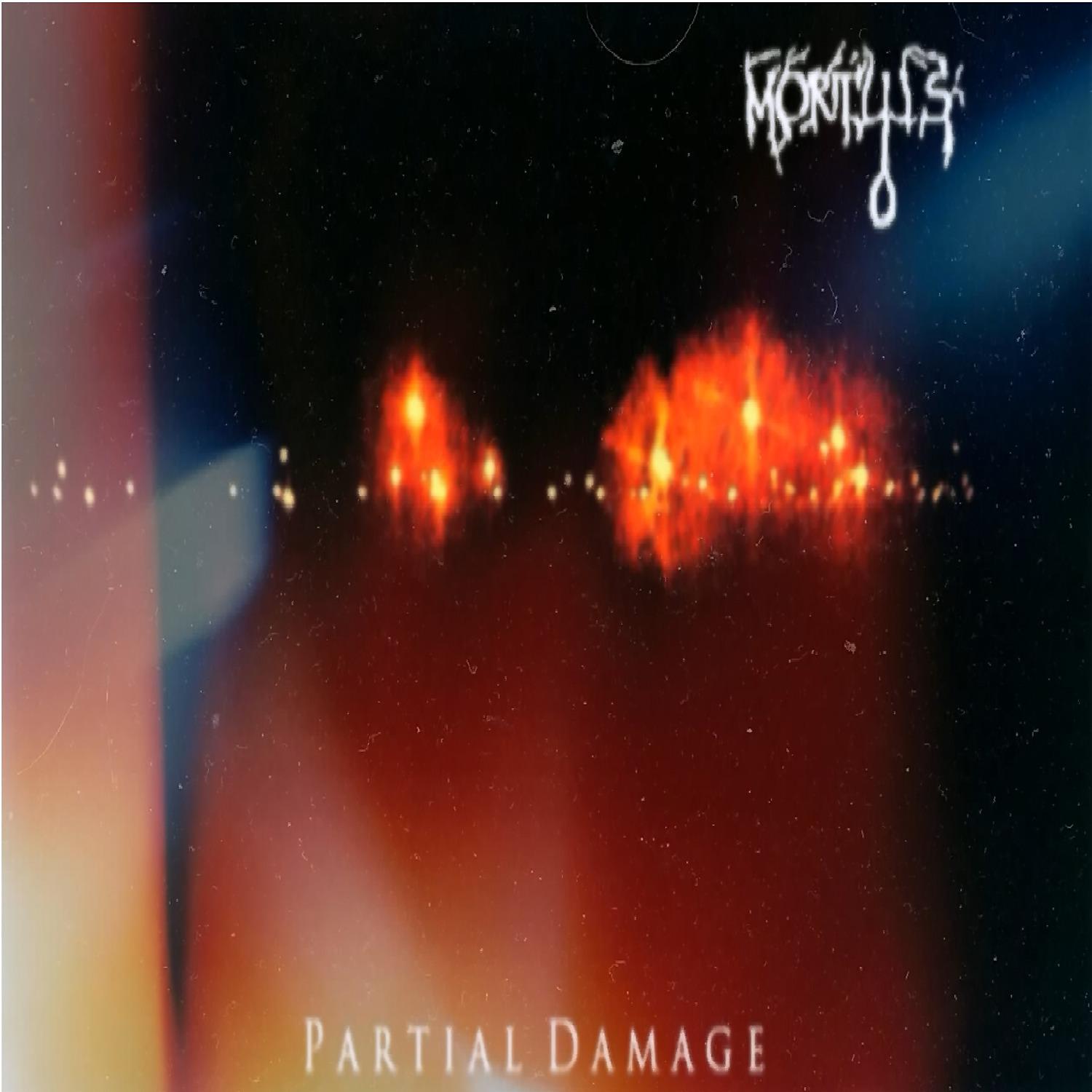 Постер альбома Partial Damage