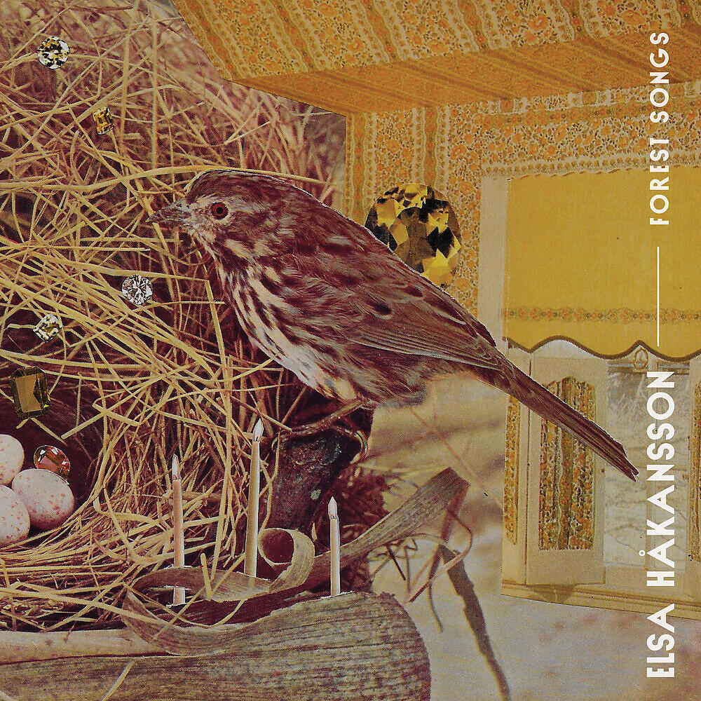 Elsa Håkansson - Sparrows