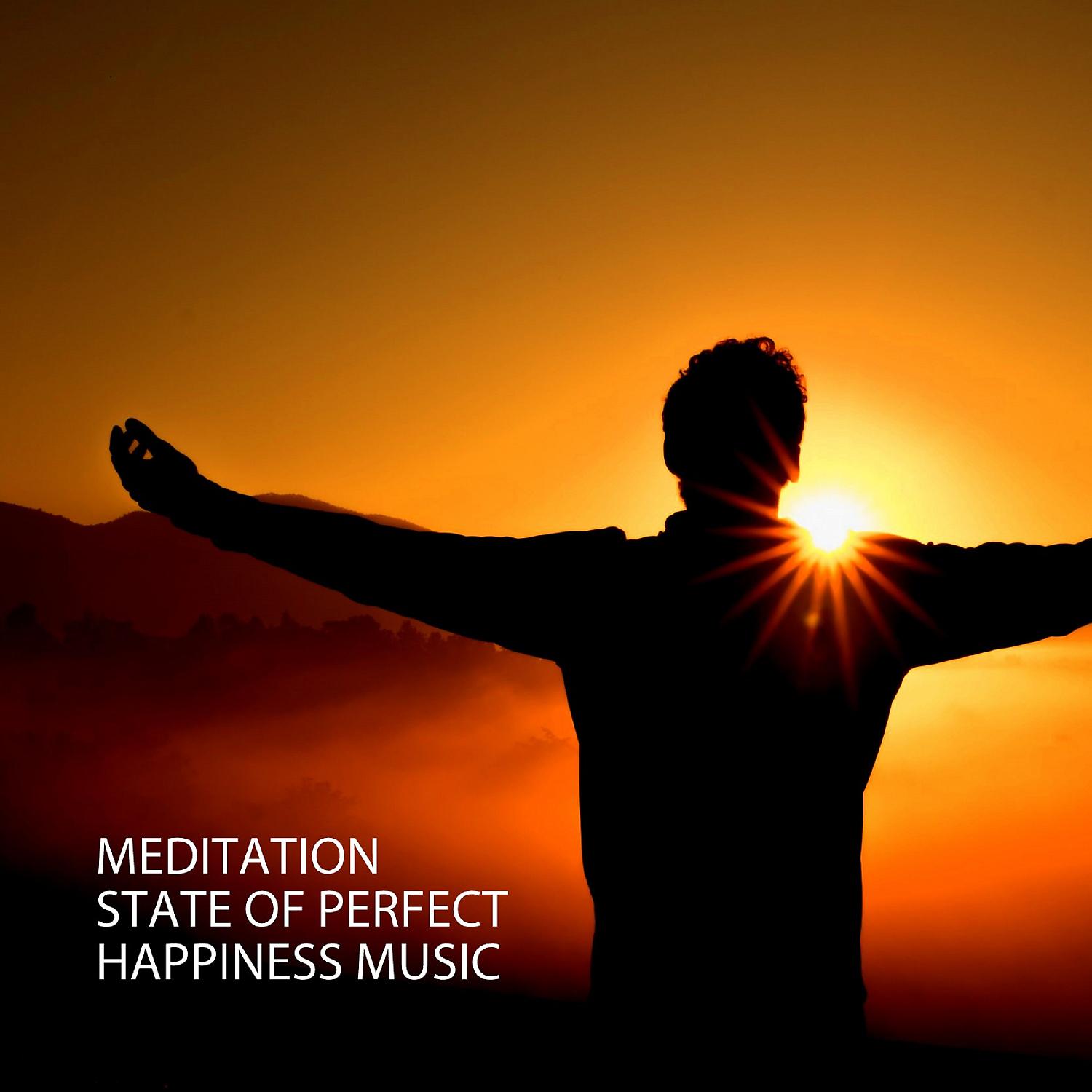 Постер альбома Meditation: State Of Perfect Happiness Music