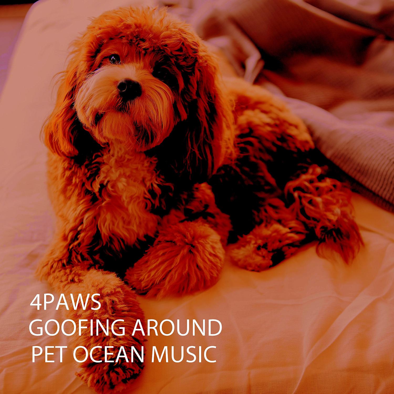 Постер альбома 4PAWS: Goofing Around Pet Ocean Music