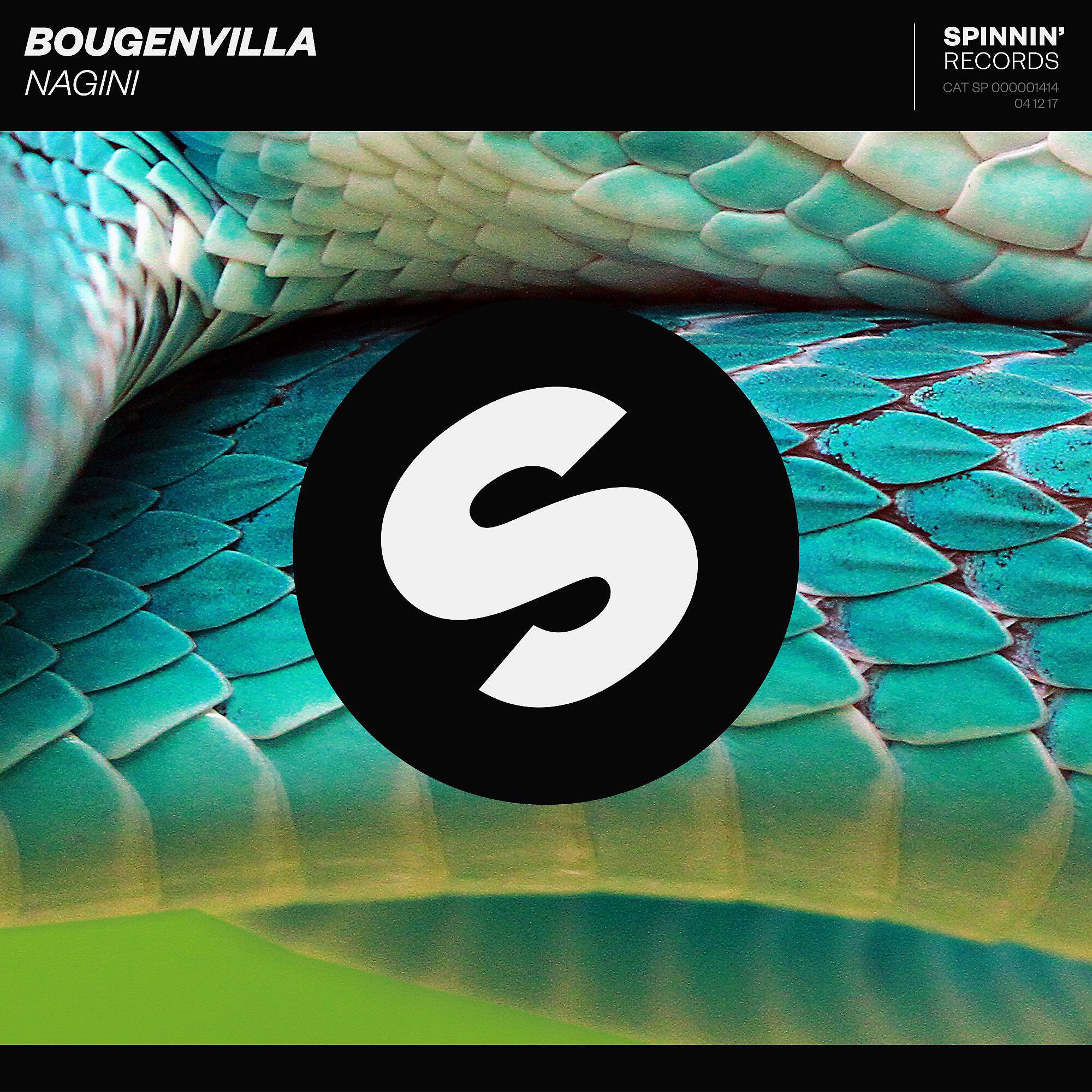 Bougenvilla - Nagini