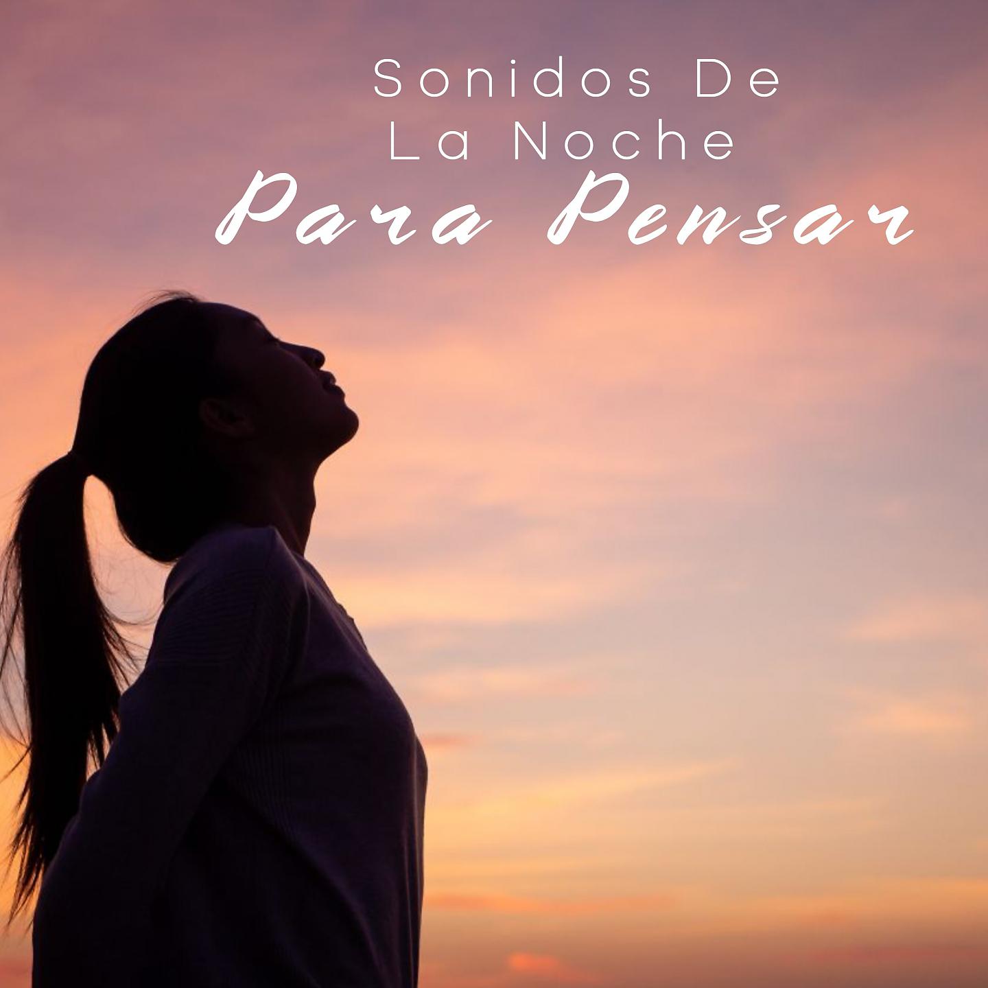 Постер альбома Sonidos De La Noche Para Pensar