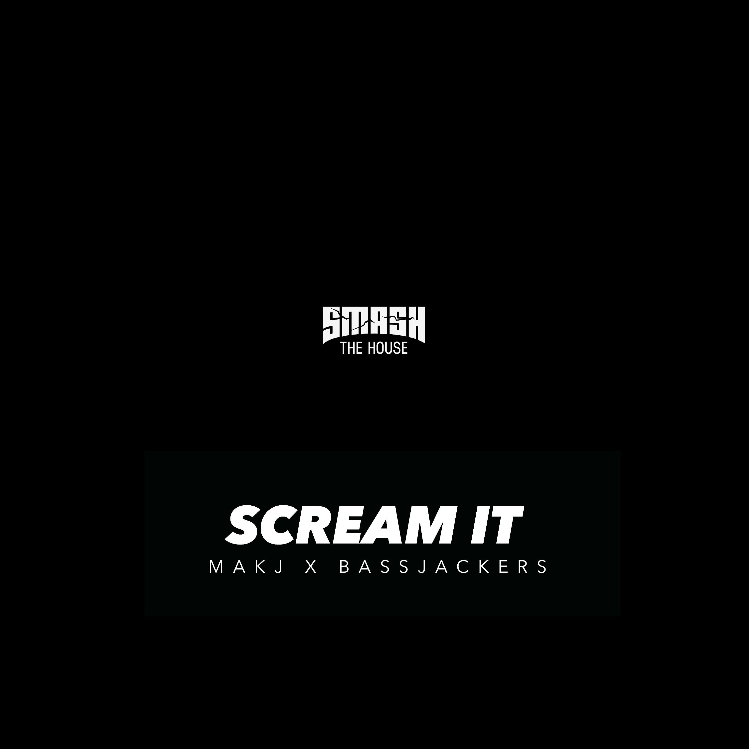 Постер альбома Scream It