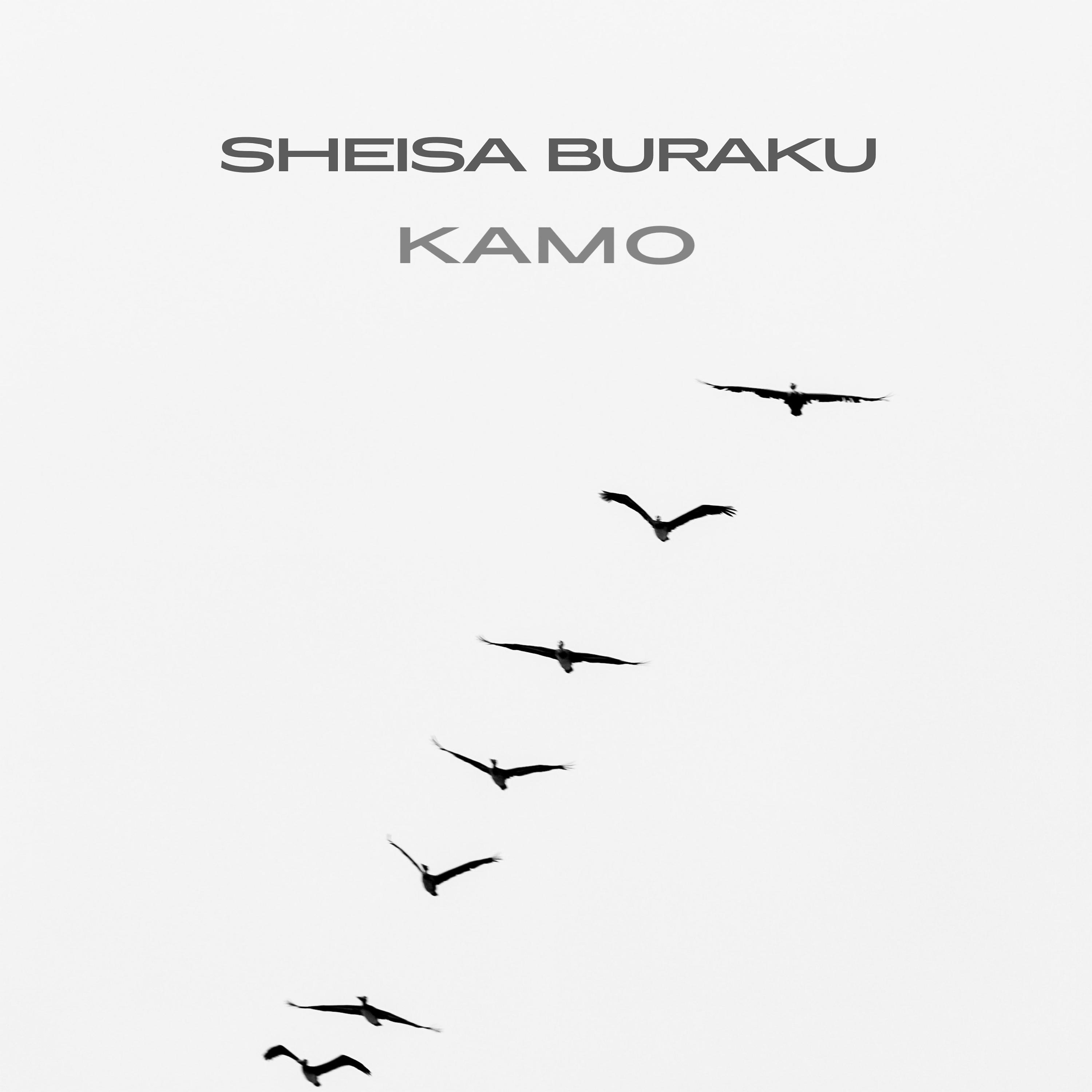 Постер альбома Kamo