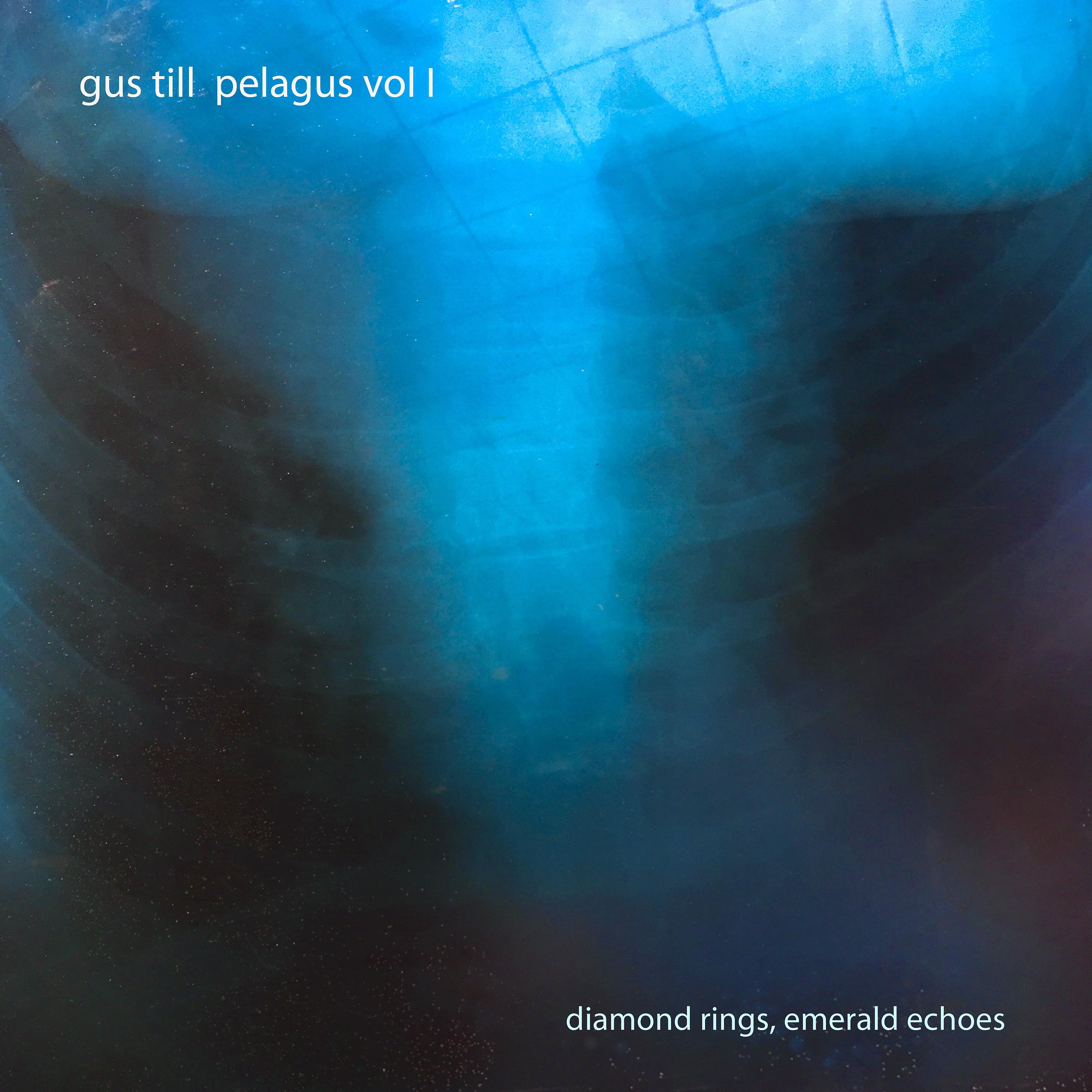 Постер альбома Pelagus, Vol. I: Diamond Rings, Emerald Echoes