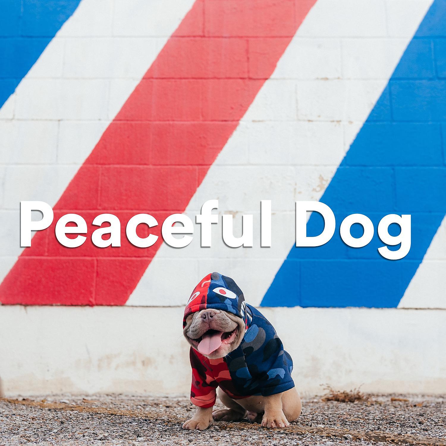 Постер альбома Peaceful Dog