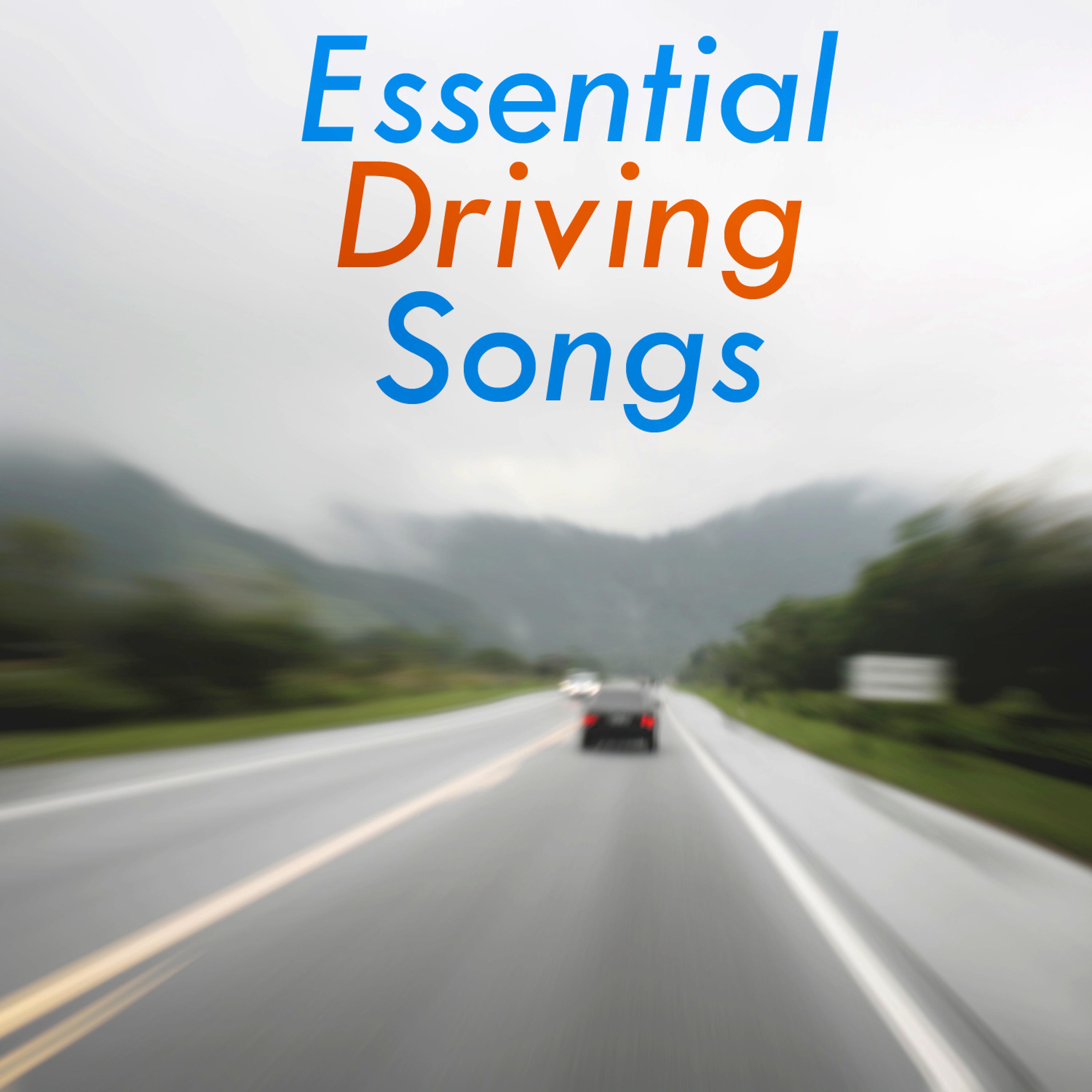 Постер альбома Essential Driving Songs