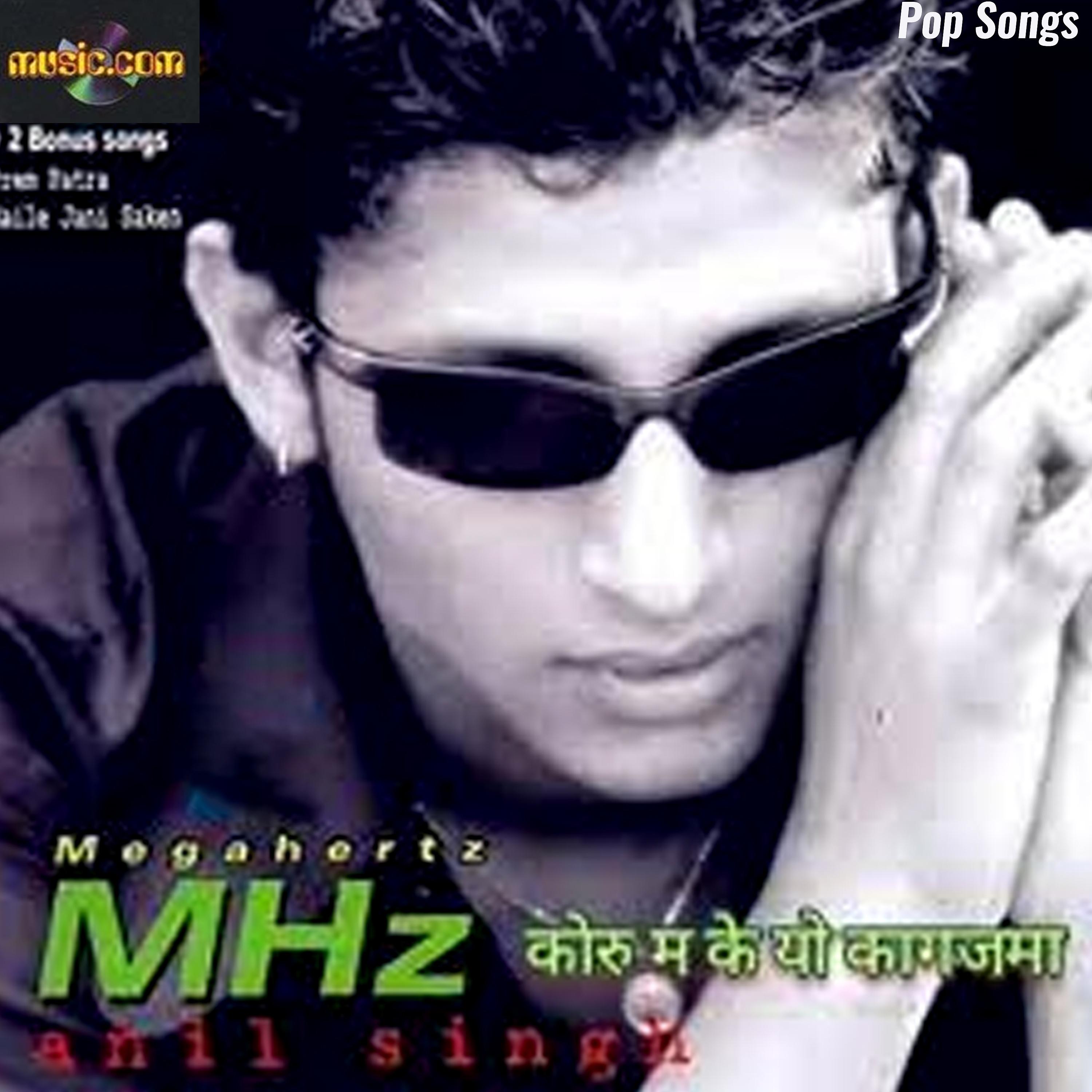 Постер альбома Mhz - Megahertz