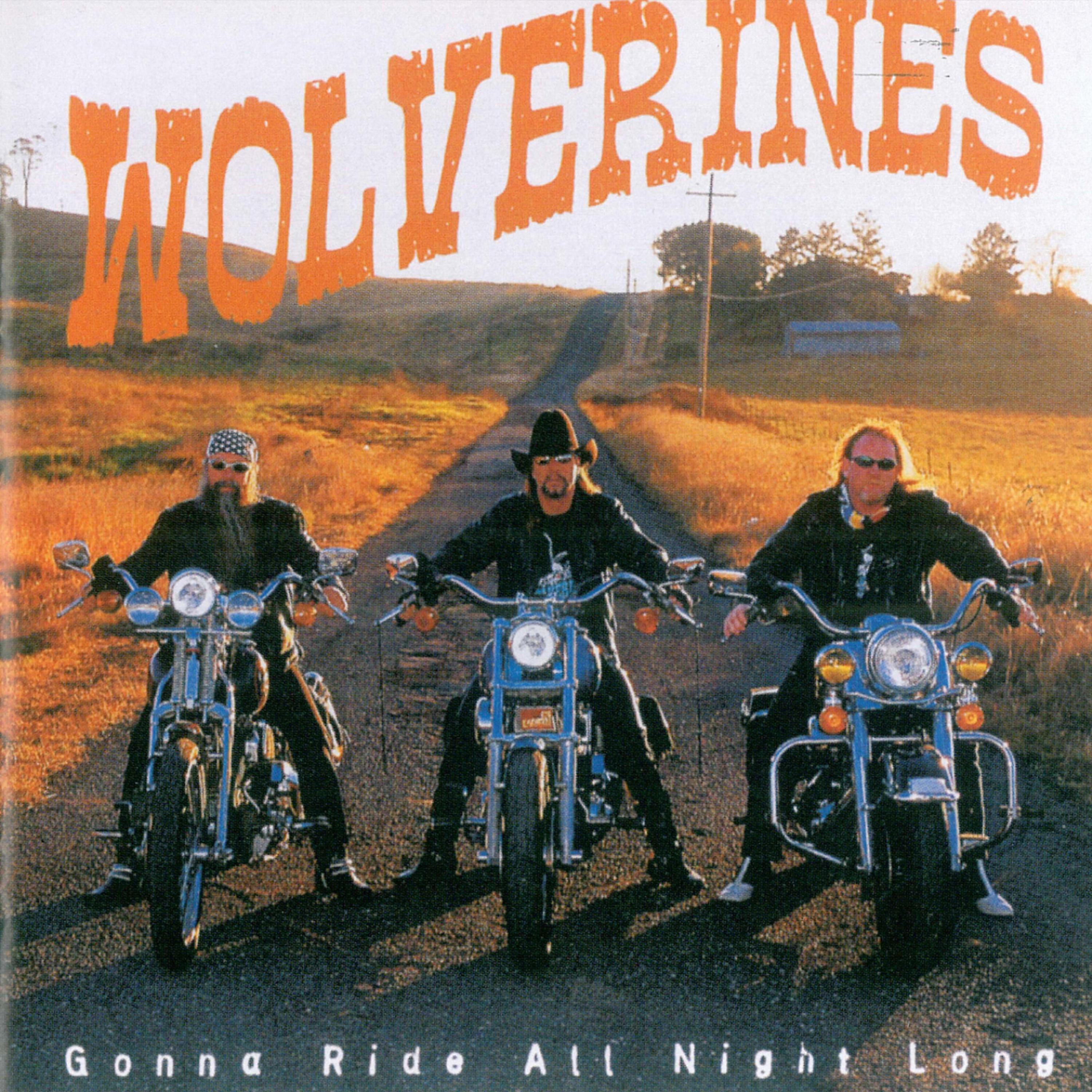 Wolverines - Rhythm of the Country Band