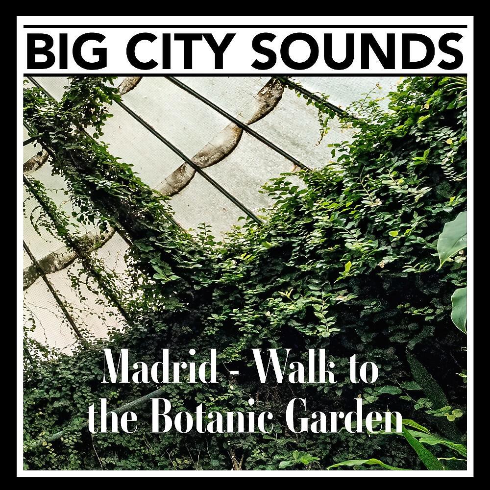 Mark Wayne - Madrid - Walk to the Botanic Garden, Pt. 11