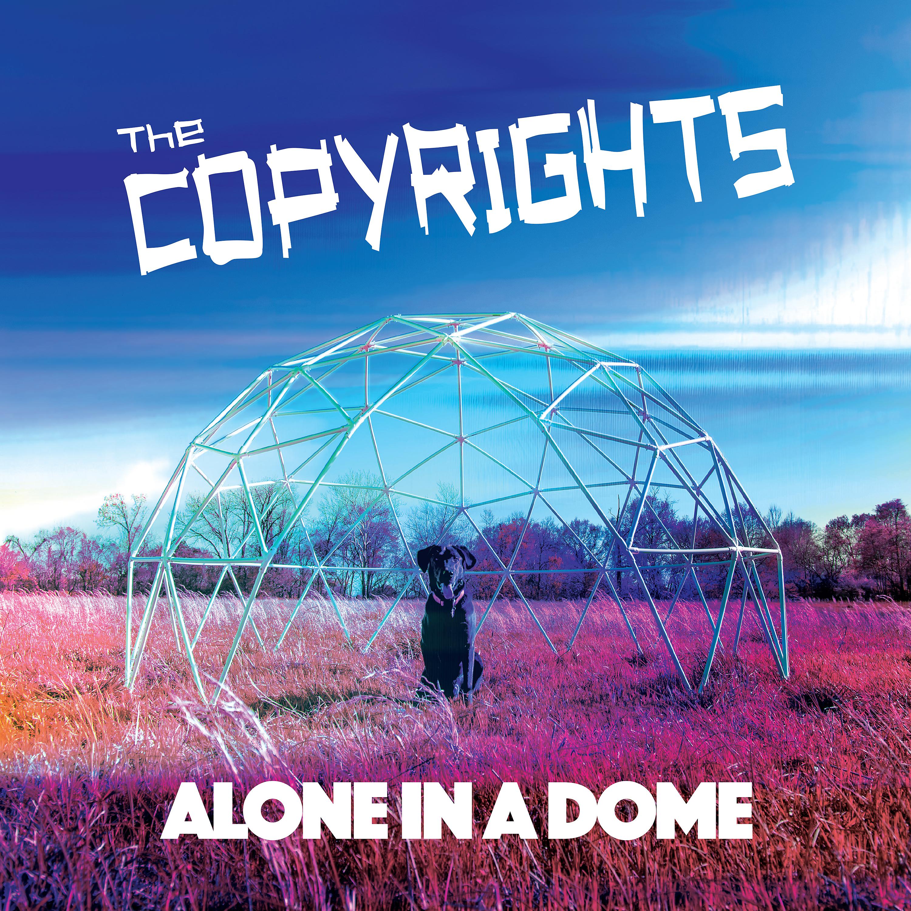 Постер альбома Alone in a Dome
