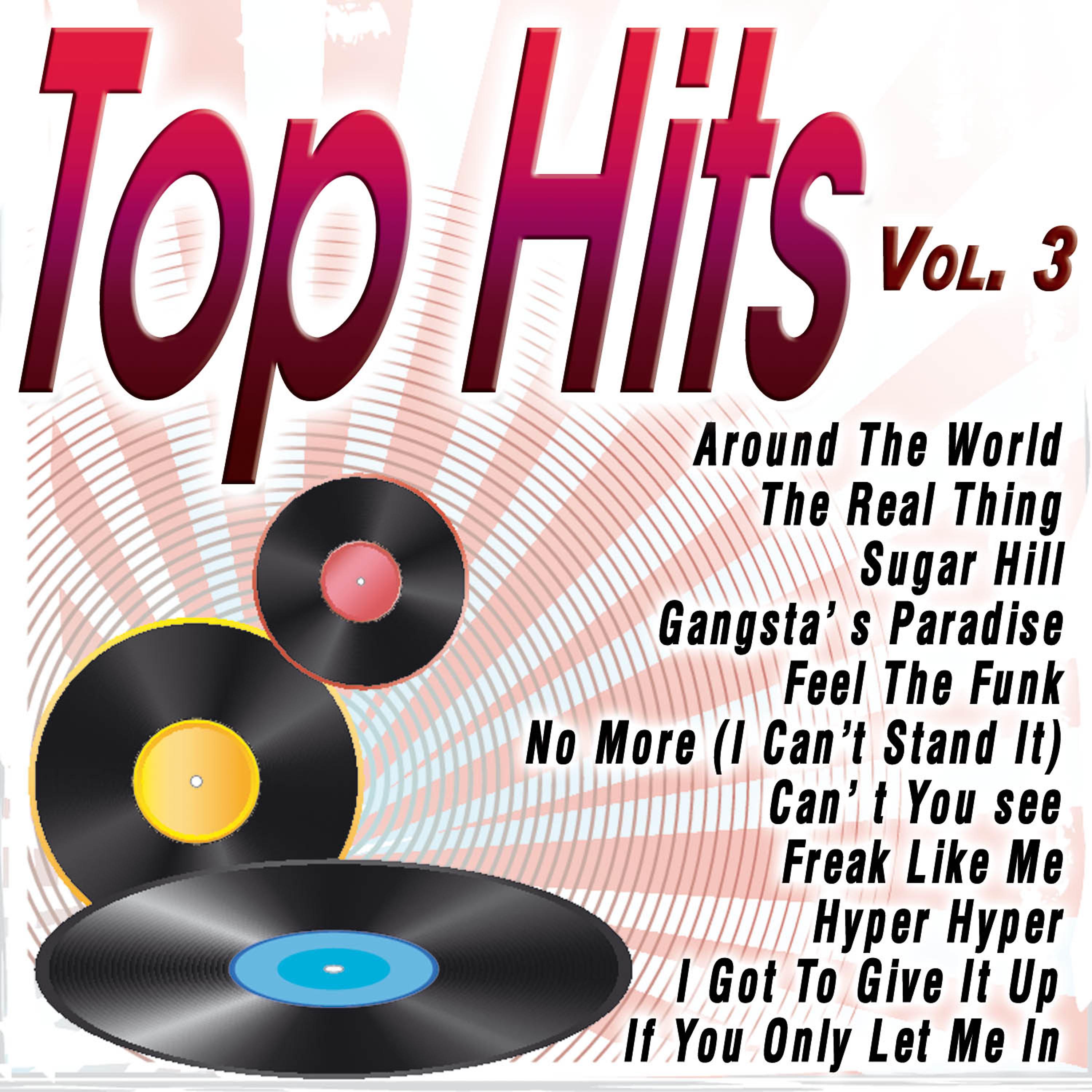 Постер альбома Top Hits Vol.3