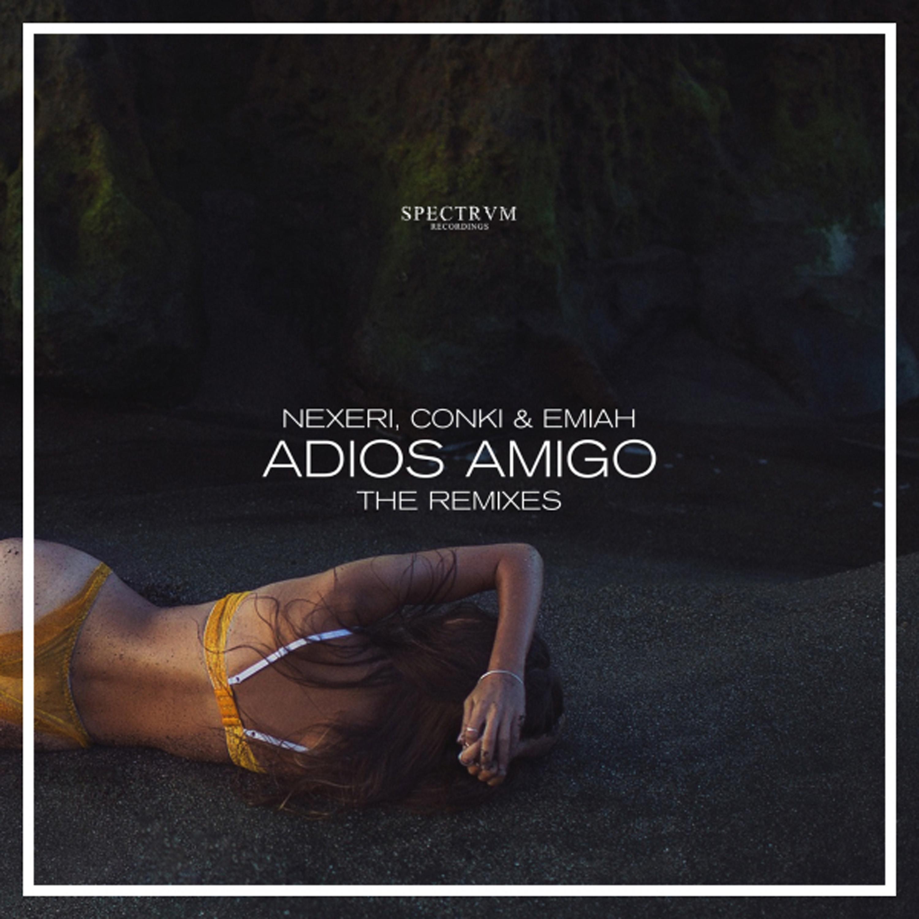 Постер альбома Adios Amigo (Nalestar Remix)