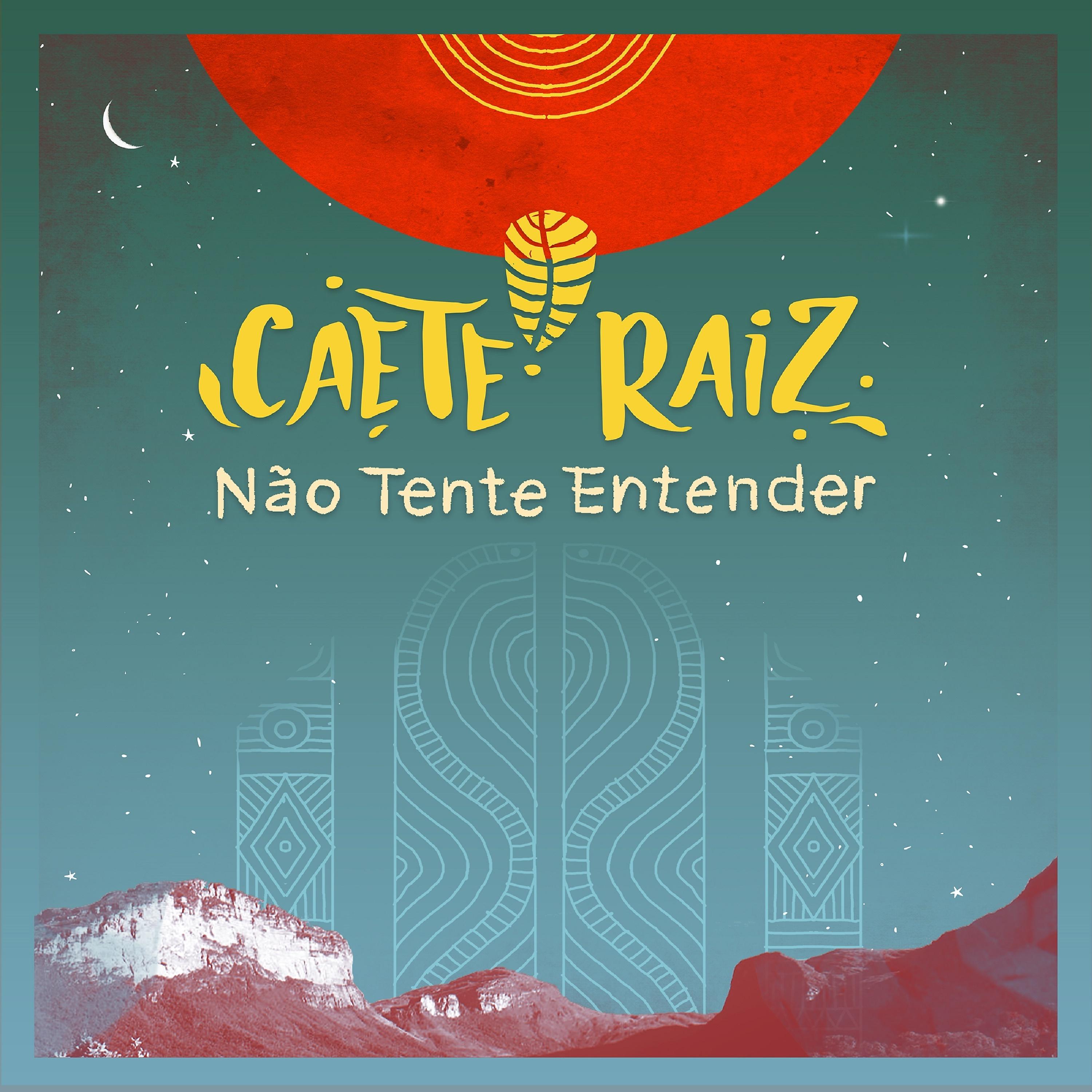 Постер альбома Não Tente Entender