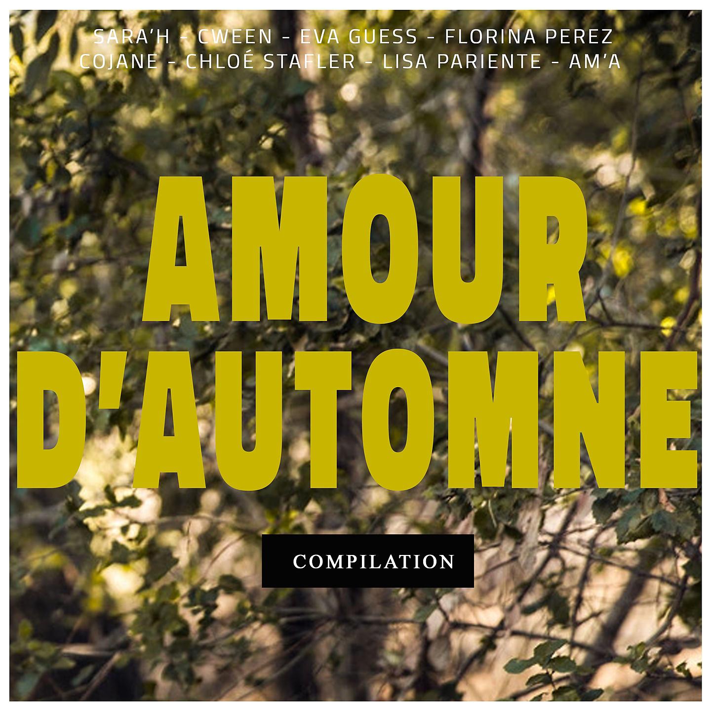 Постер альбома Amour d'automne