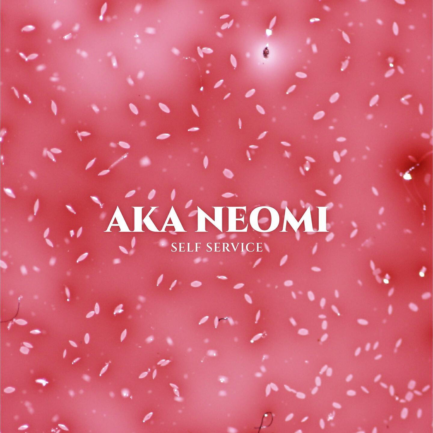 AKA Neomi - Self Service (Radio Edit)