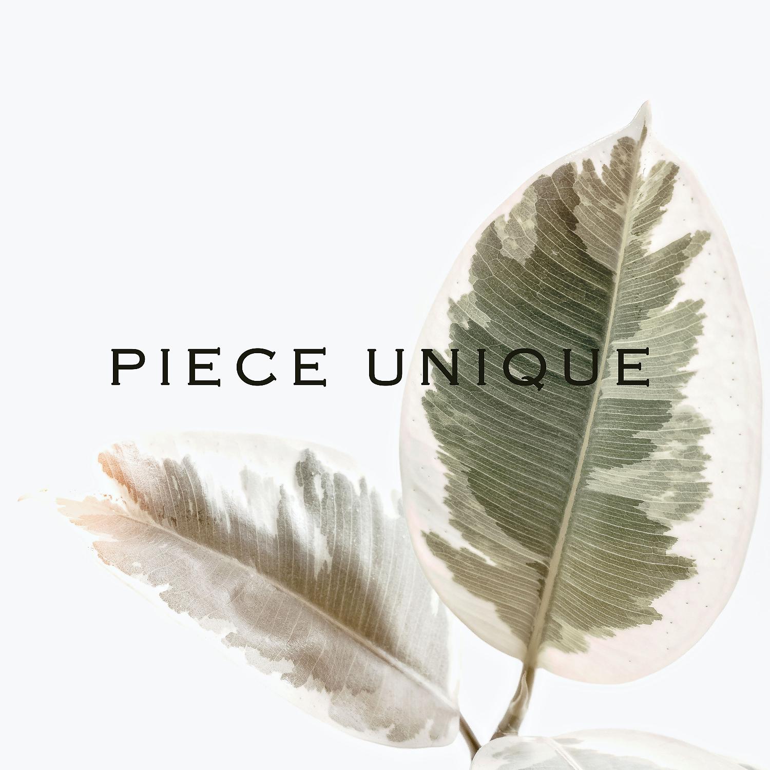 Постер альбома Piece Unique