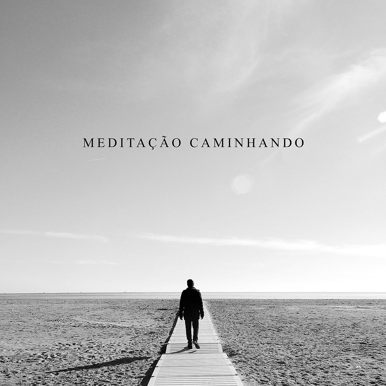 Постер альбома Meditação Caminhando