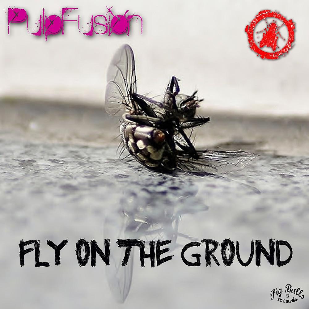 Постер альбома Fly on the Ground