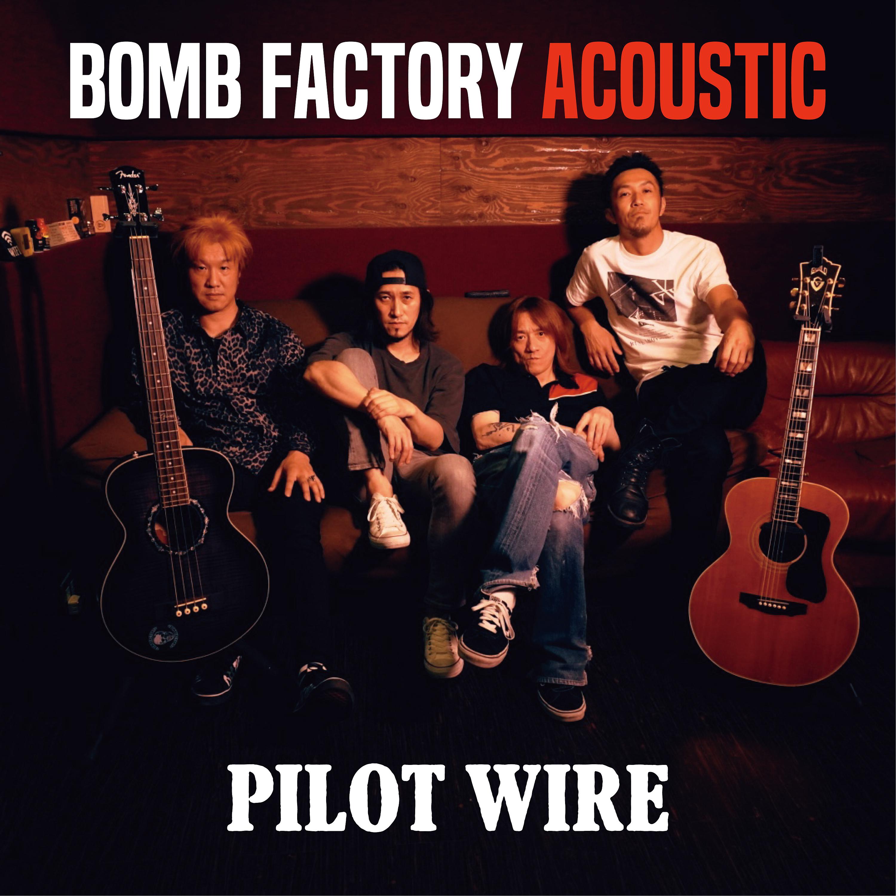 Постер альбома PILOT WIRE (Acoustic Version)