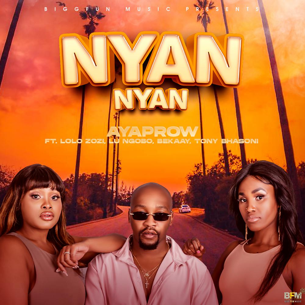 Постер альбома Nyan Nyan
